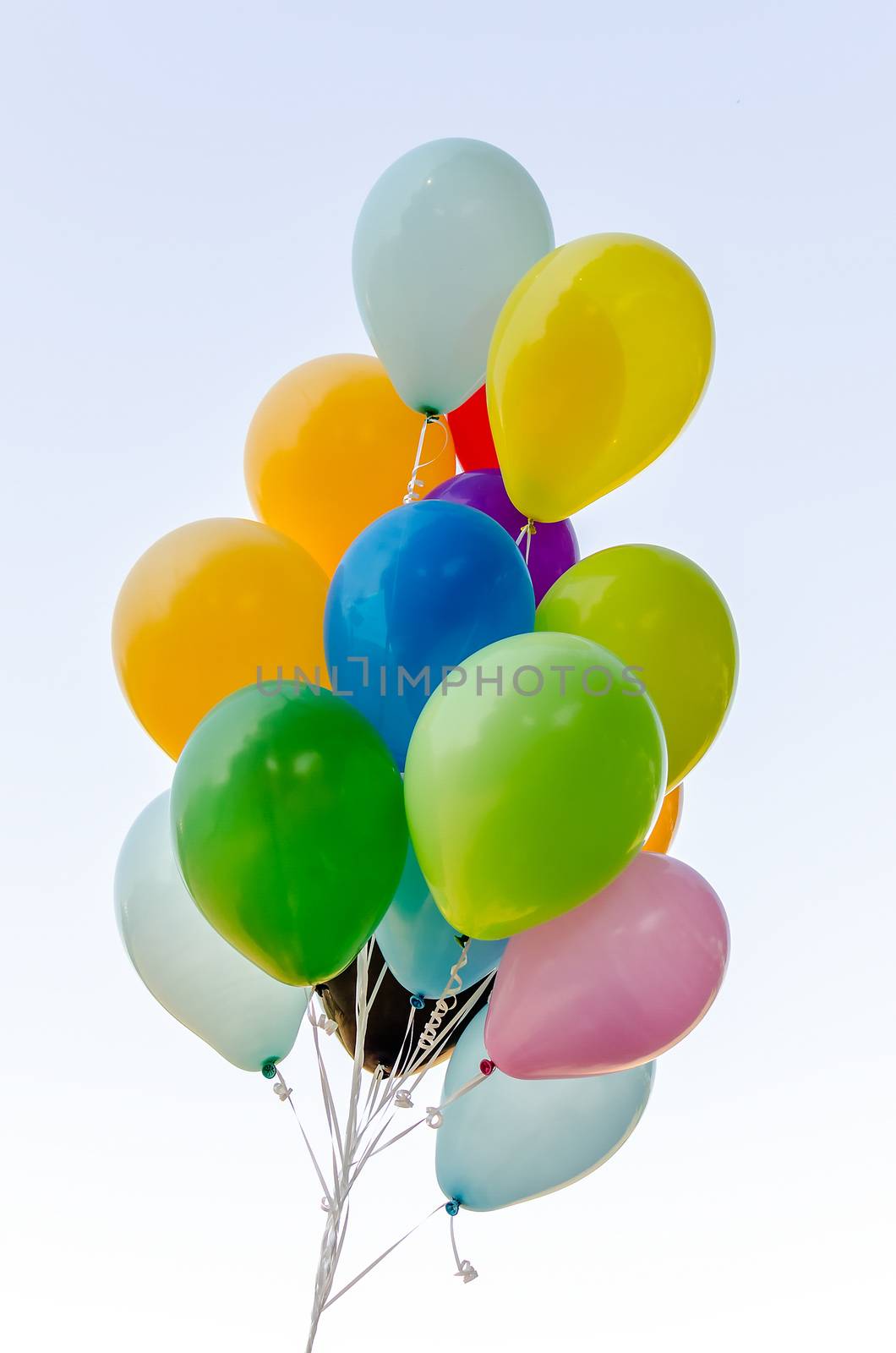 Colorful bunch of helium balloons by marcorubino