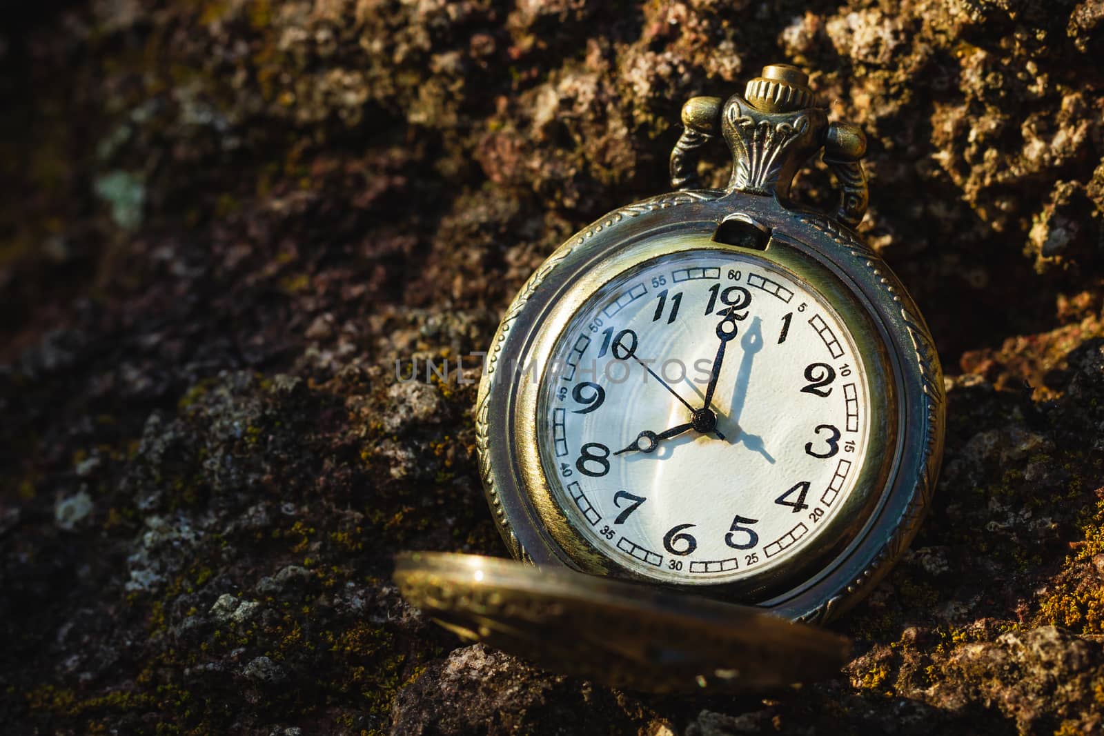 Vintage old pocket watch placed on the rock in forest. by SaitanSainam