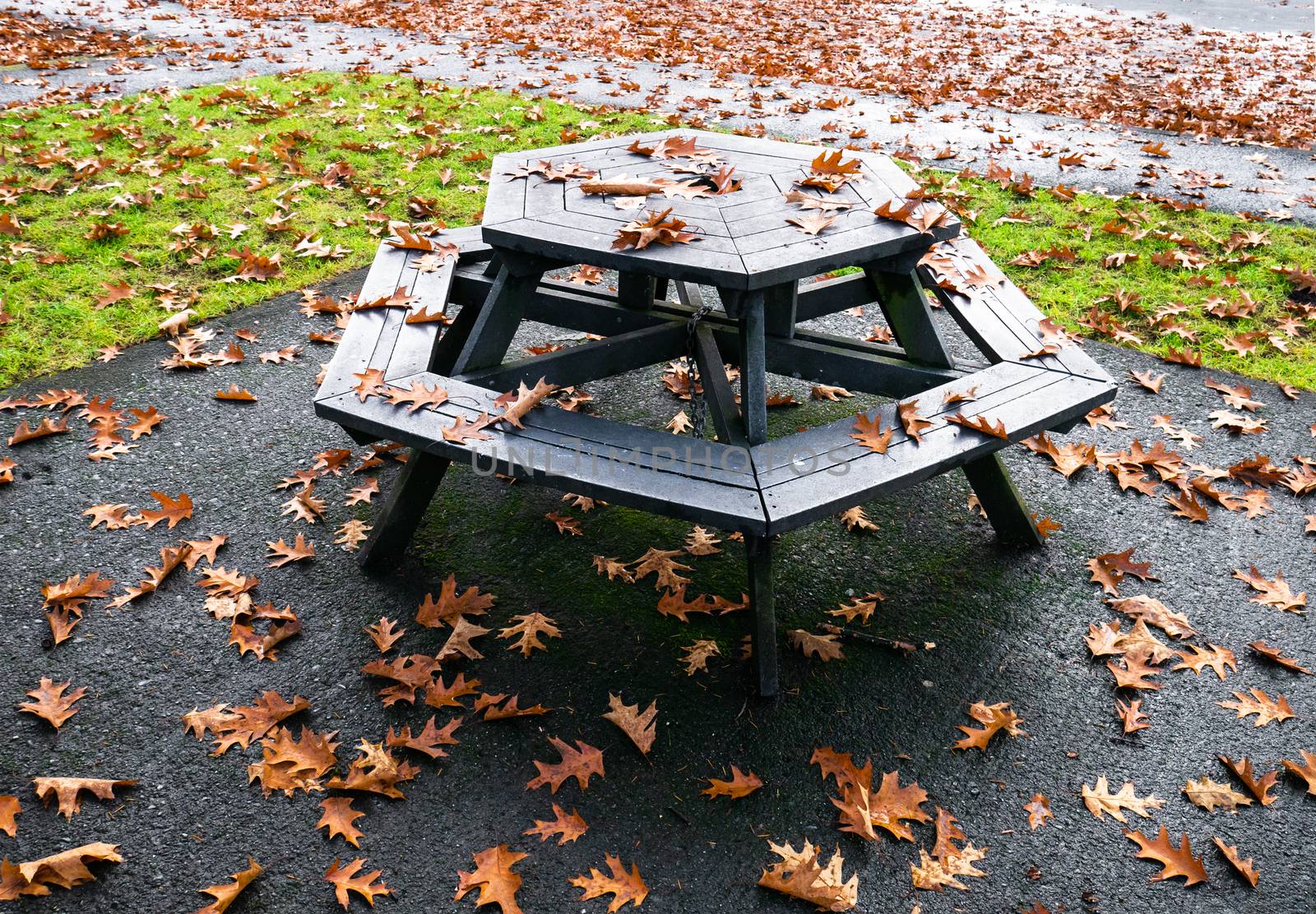 Fall season in a park. Oak foliage fallen on picnic table in a park. by Imagenet