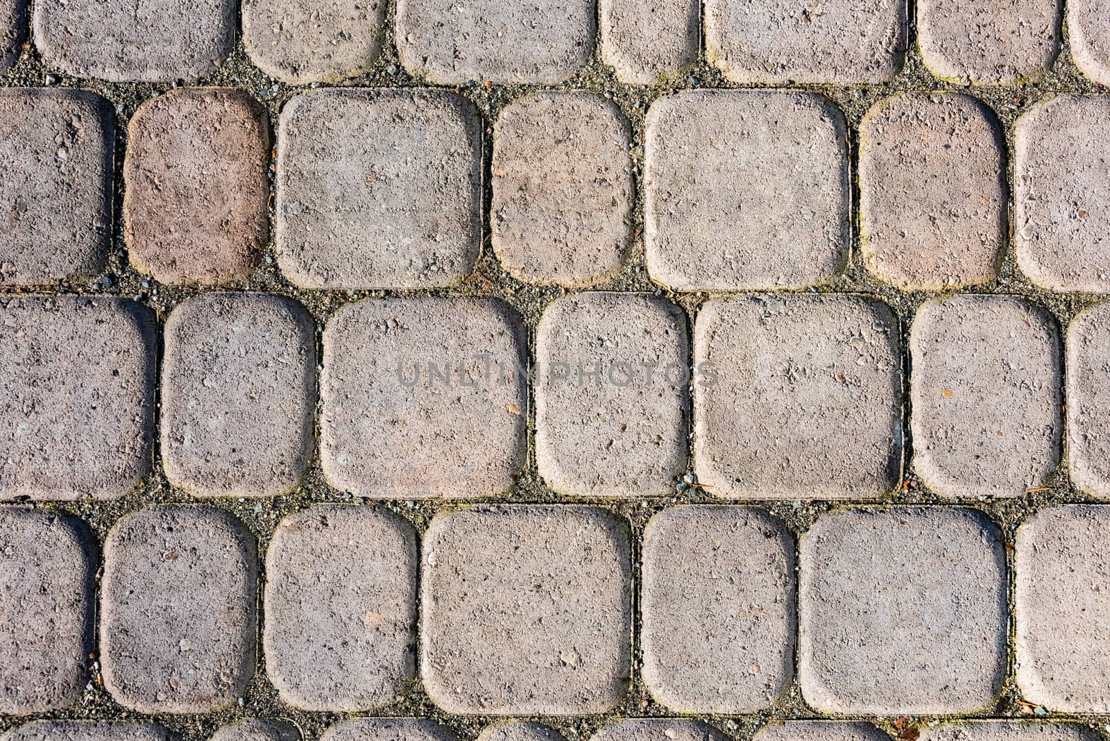 Detailed texture of paved pathway built with small blocks