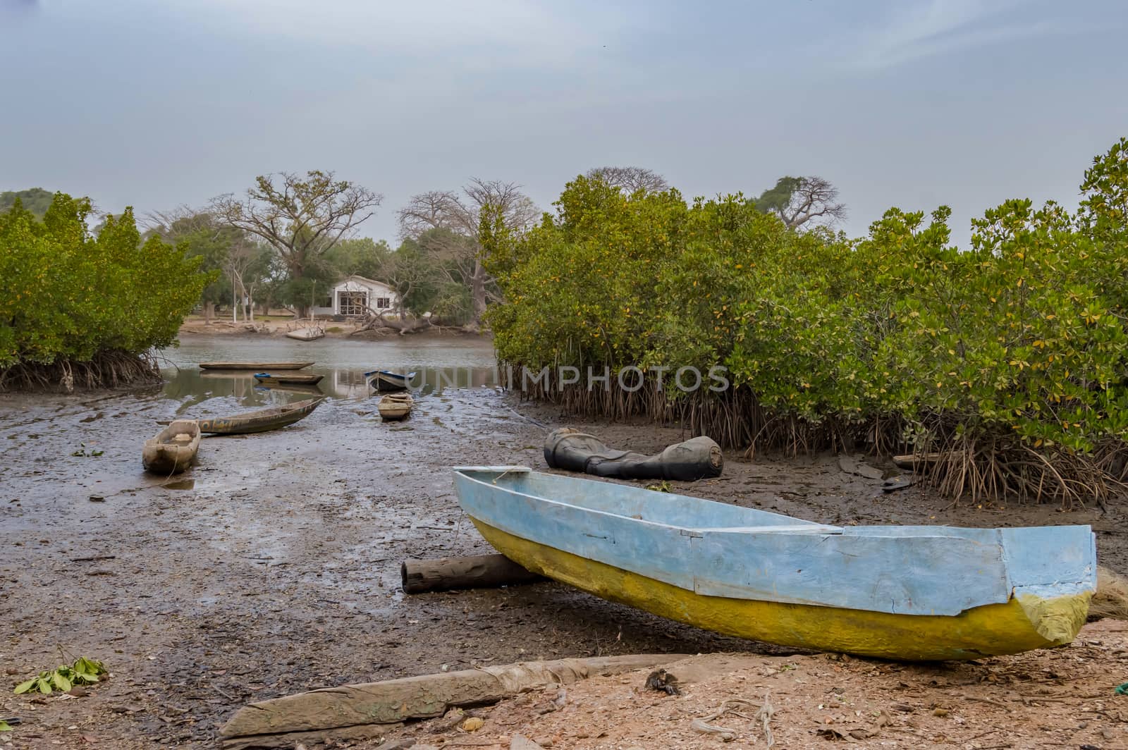 Mangrove area with traditional boats  by Philou1000