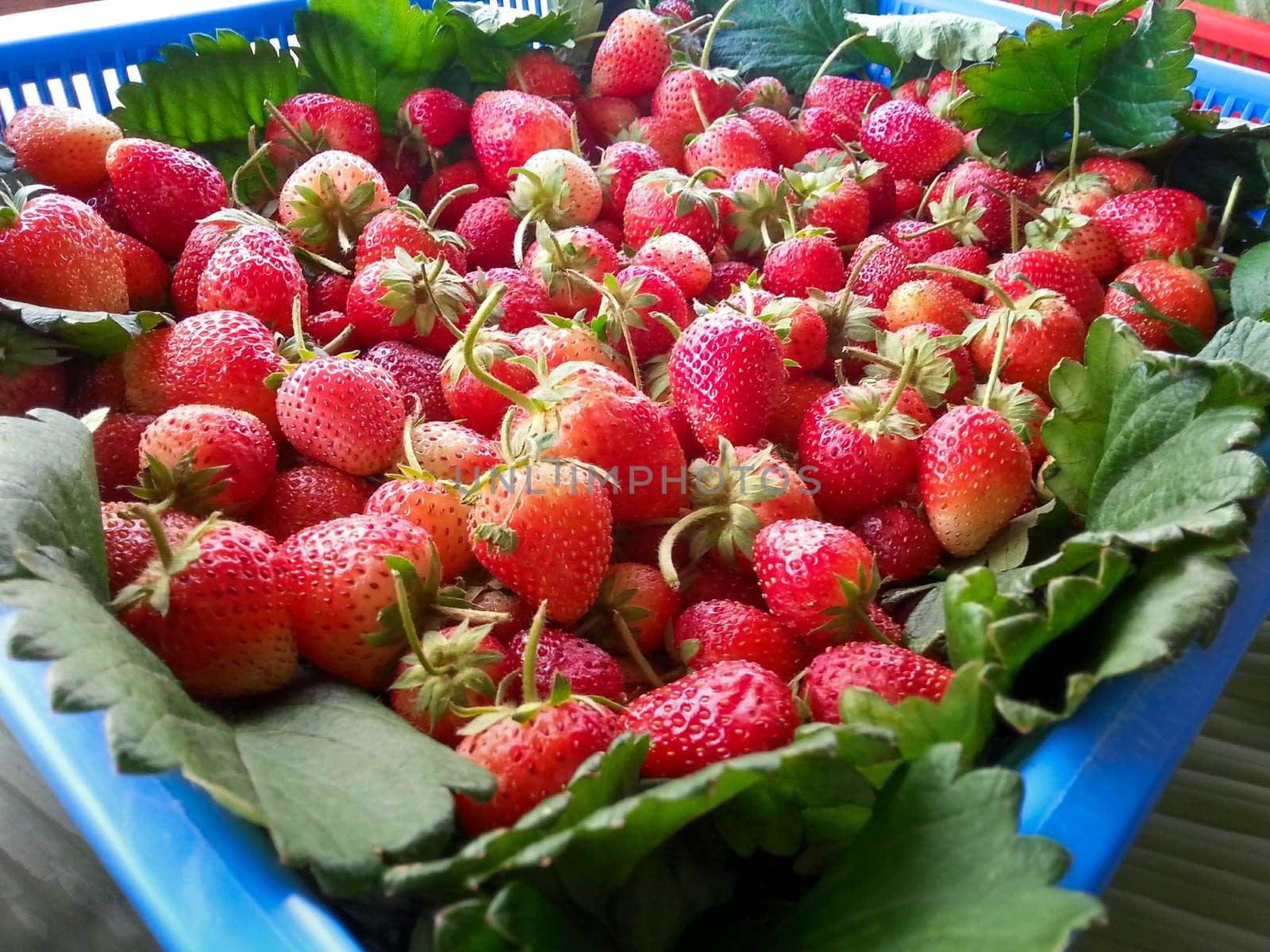 Strawberries in a basket, high in vitamin C.