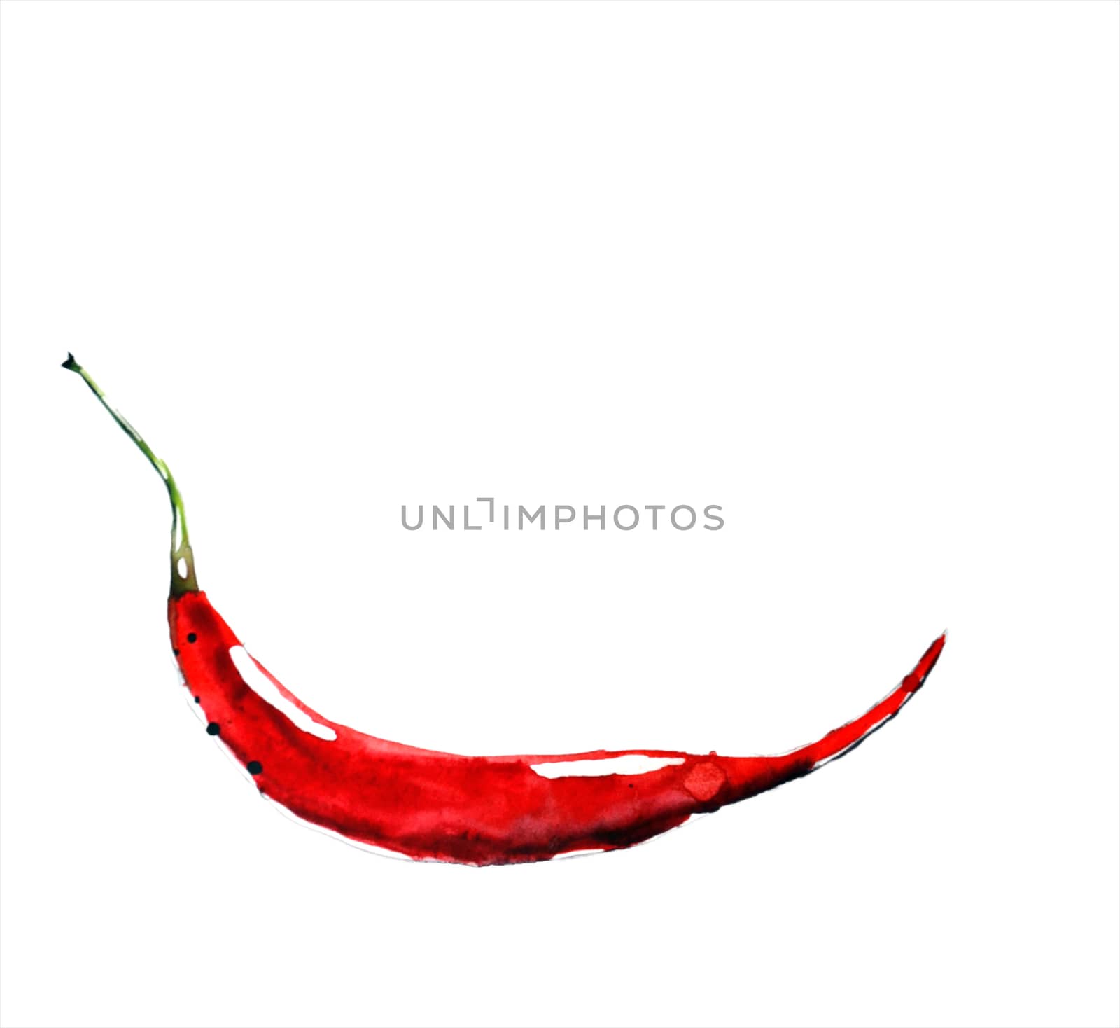one chili pepper made of colorful splashes on white background