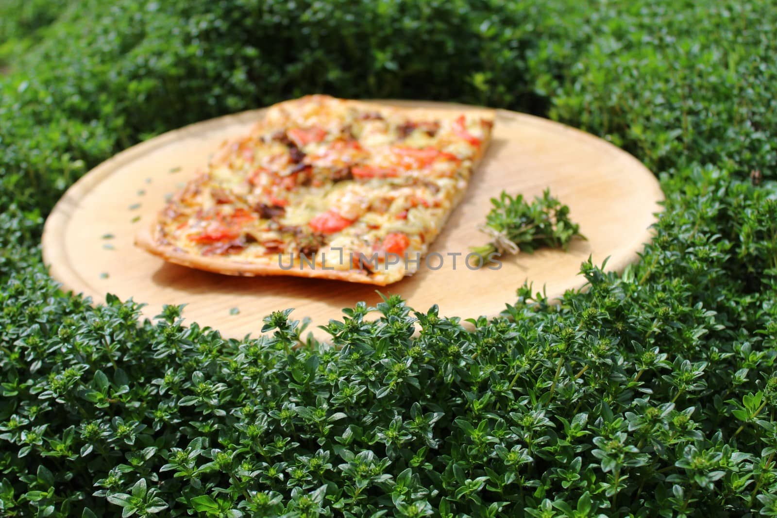 a piece of pizza on a wooden board in a thyme field by martina_unbehauen