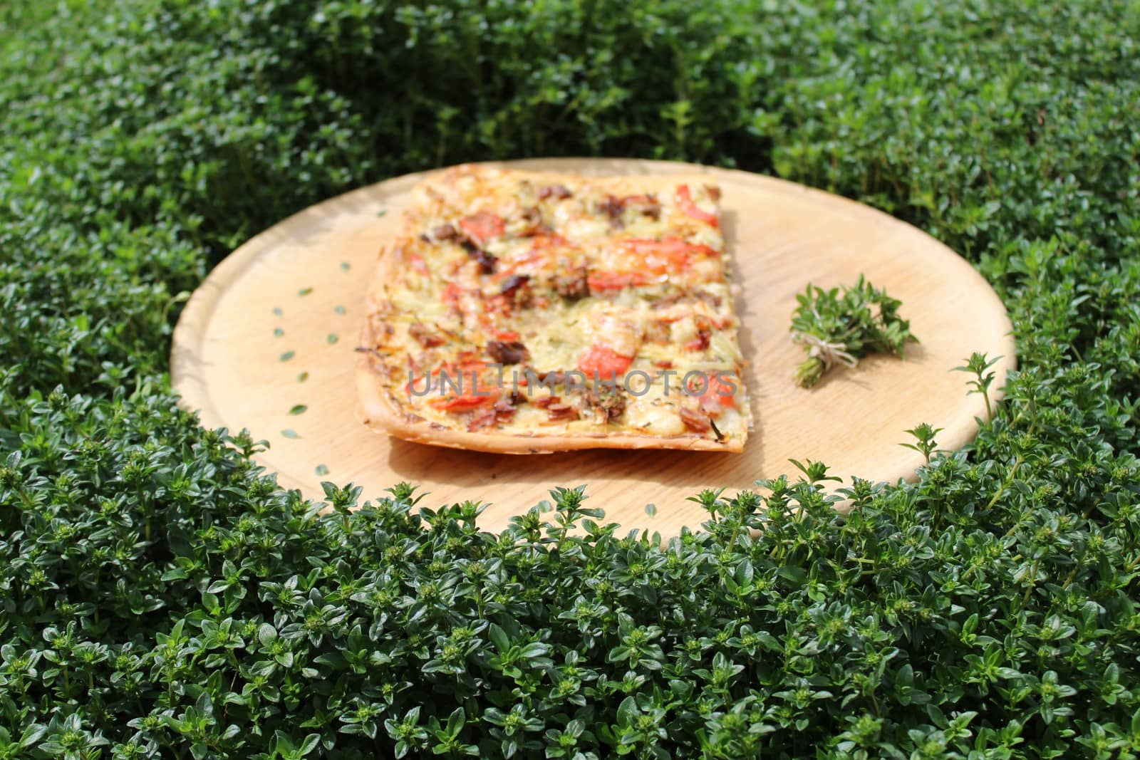 a piece of pizza on a wooden board in a thyme field by martina_unbehauen