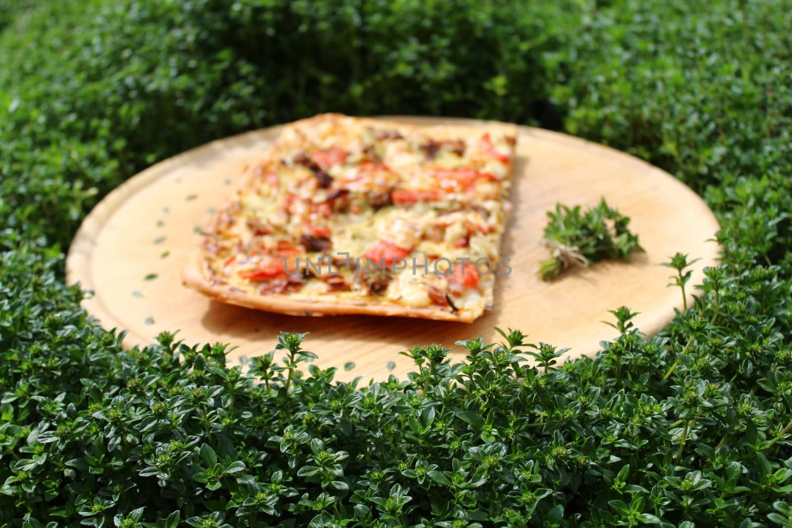 The picture shows a piece of pizza on a wooden board in a thyme field