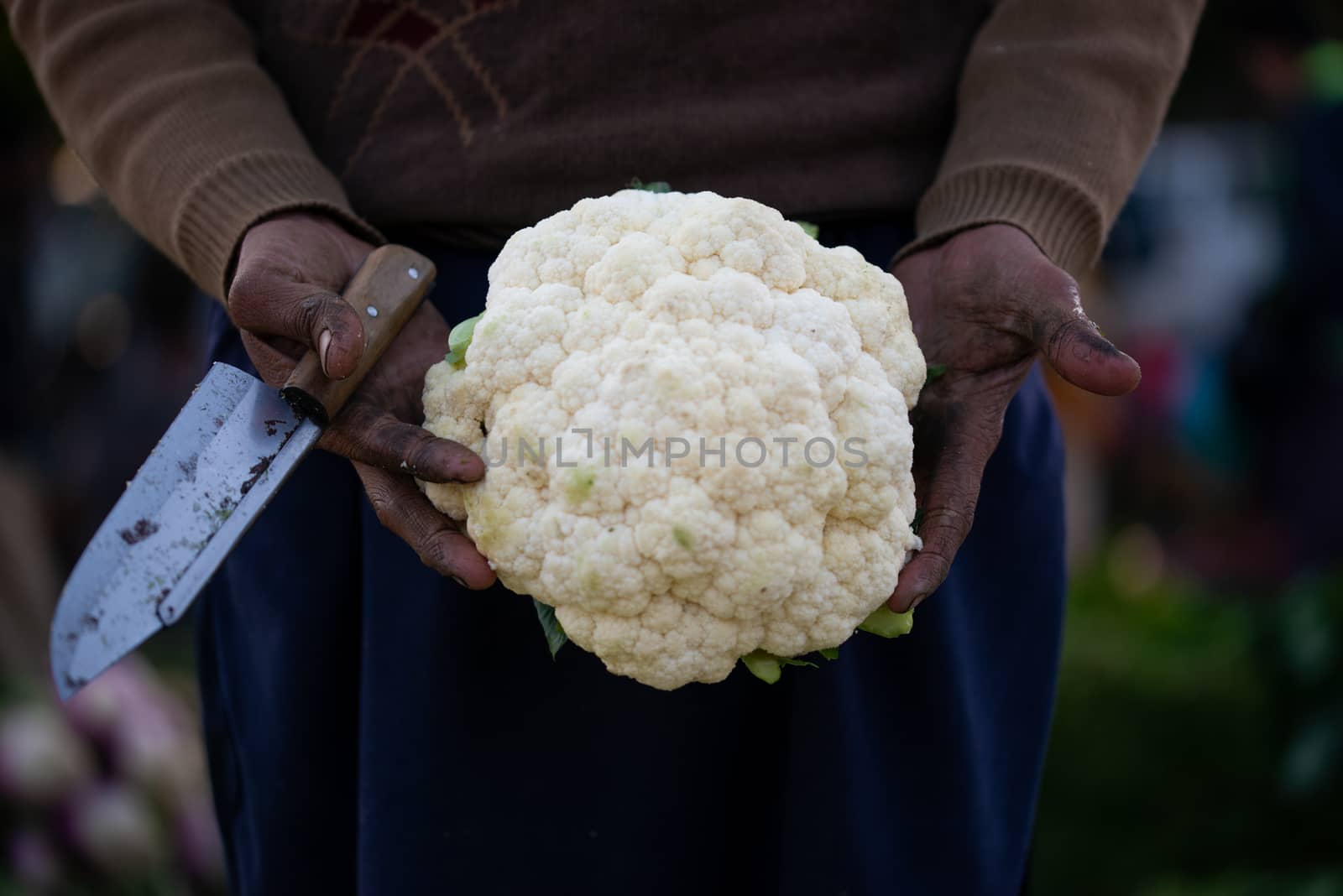 A man in vegetable market showing cauliflower to customers. by shaadjutt36