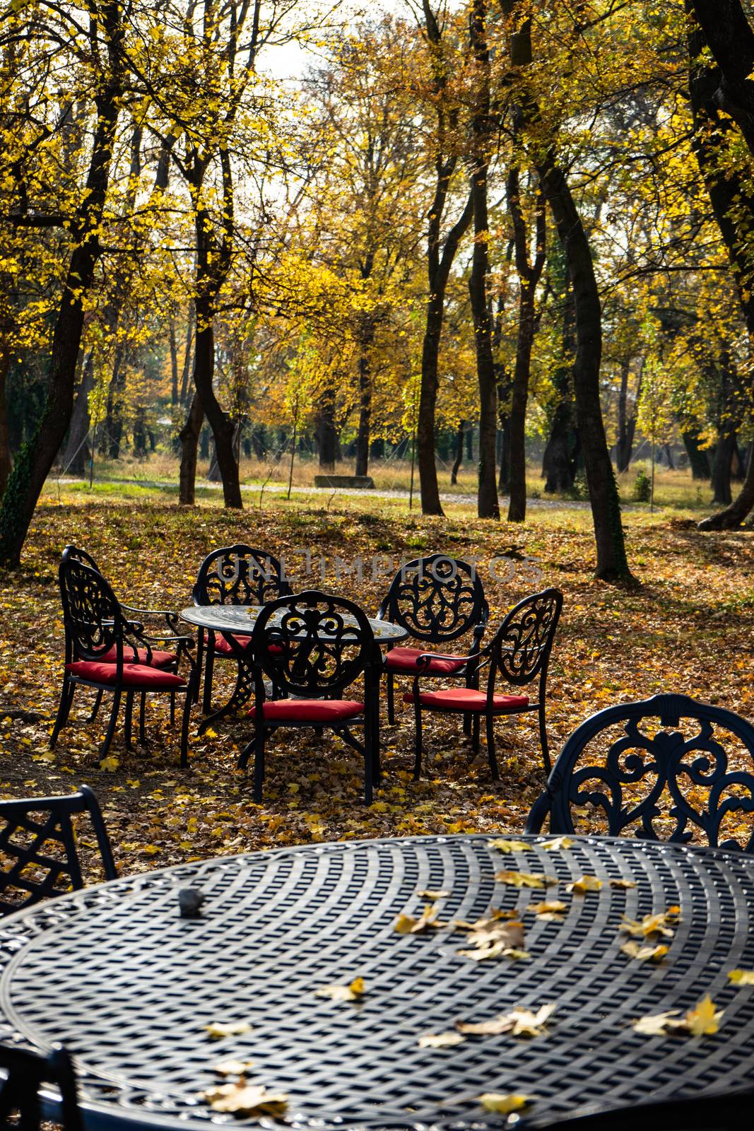 Table and chairs in autumnal park of Chateau Mukhrani close to Tbilisi, travel in Georgia