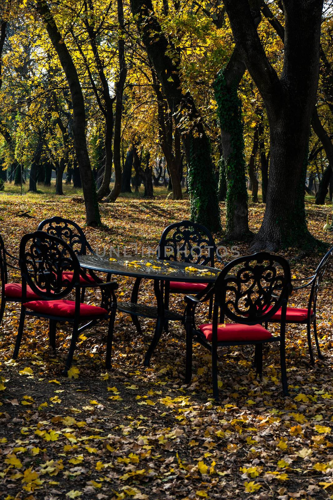 Table and chairs in autumnal park of Chateau Mukhrani close to Tbilisi, travel in Georgia