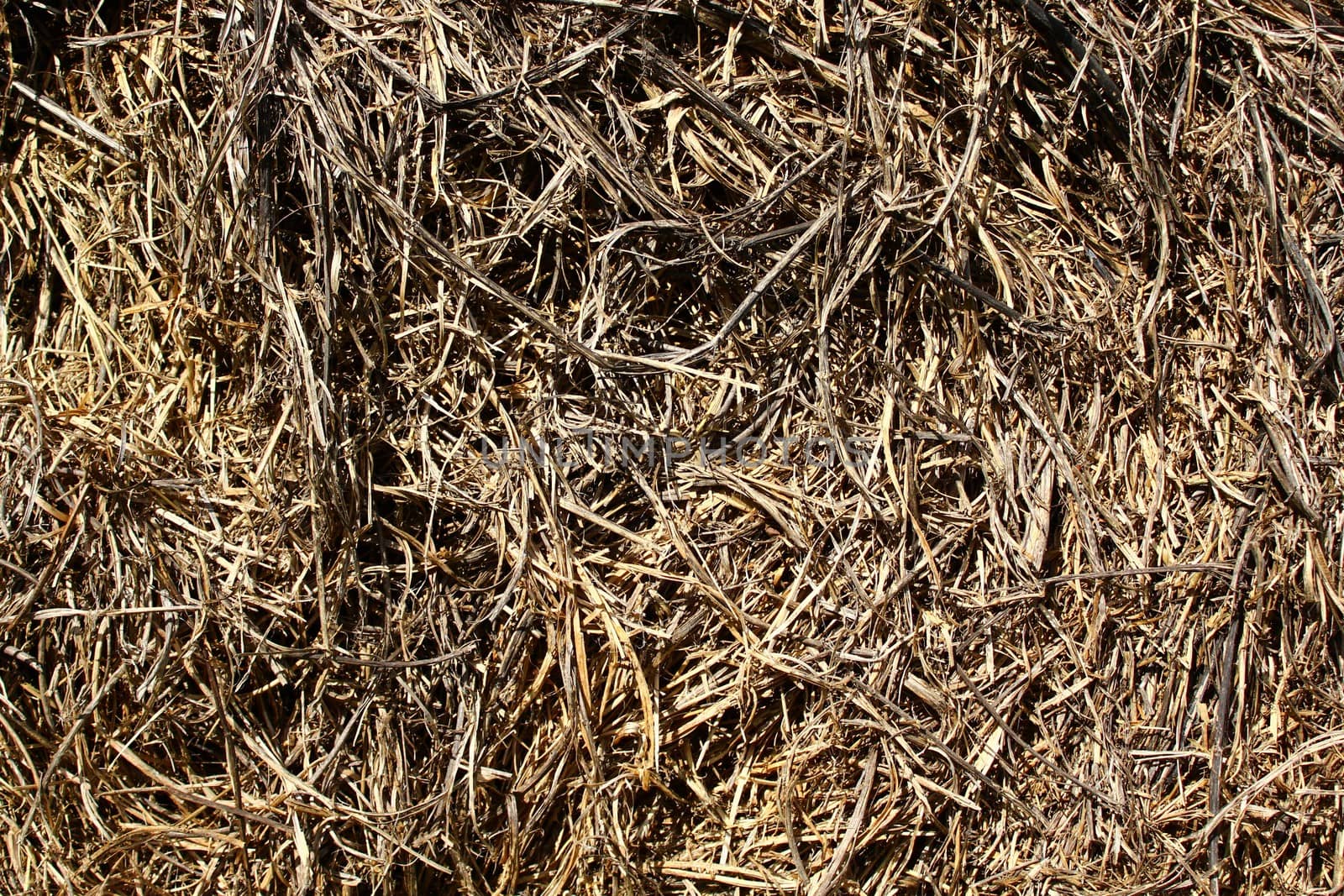 The picture shows straw on a sunny day