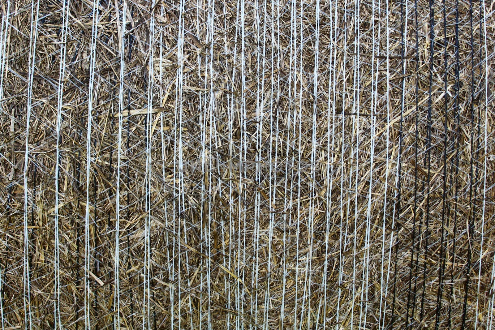 The picture shows a brown background with old straw