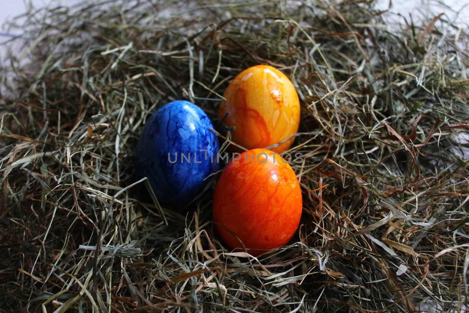 The picture shows colored easter eggs in hay