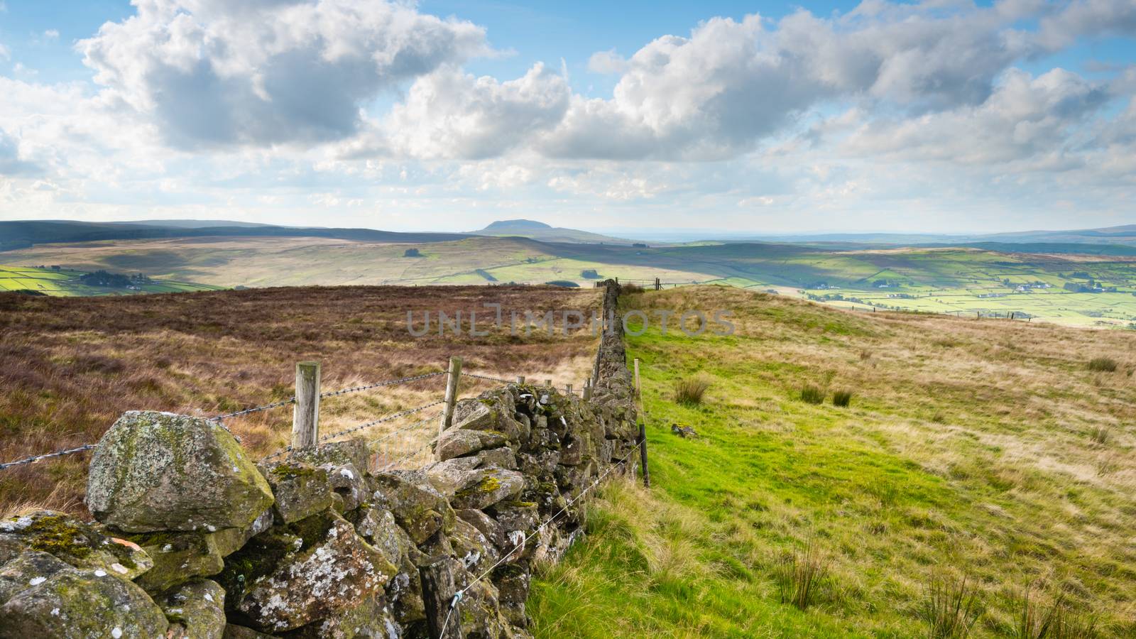 A landscape image of a dry stone wall traversing Irish moorland with Mount Slemish in the distance.