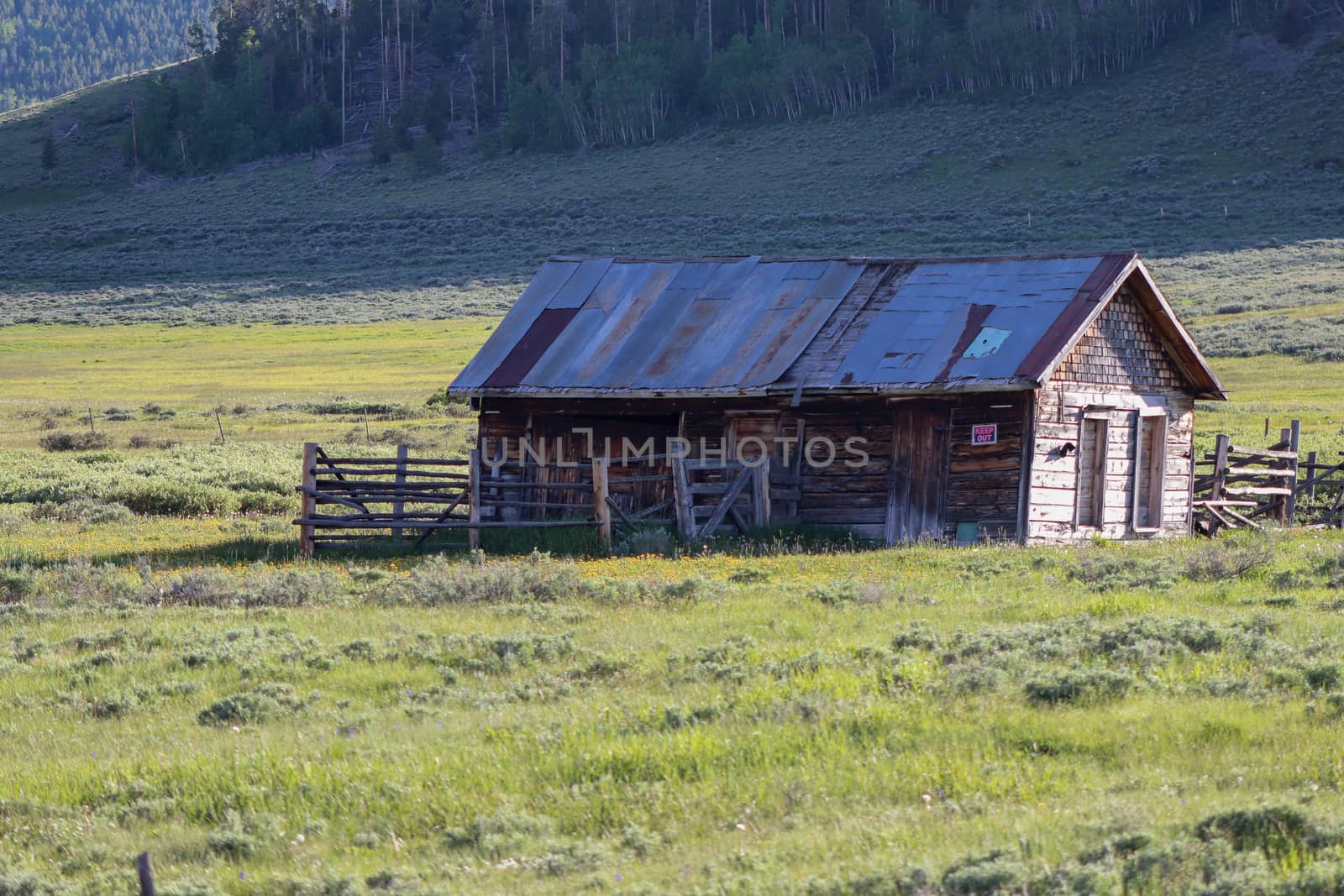Old Abandon barn on a lush green field by gena_wells