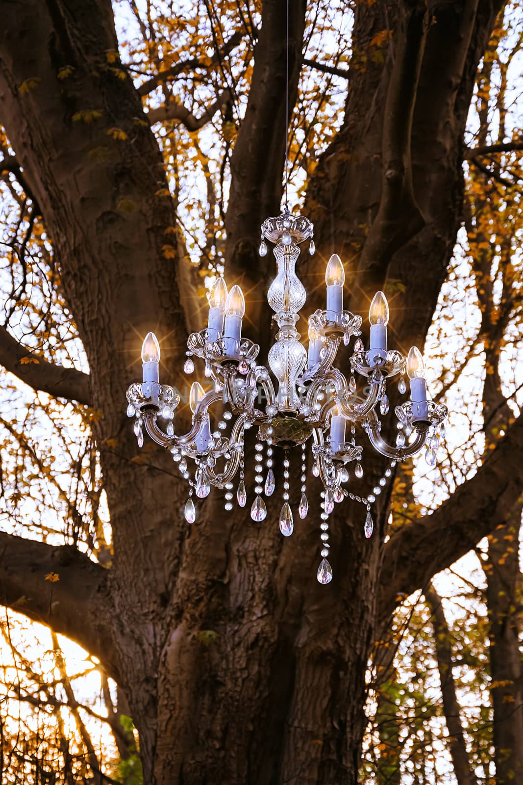 Crystal Chandelier in the forest, the Netherlands, Lisse