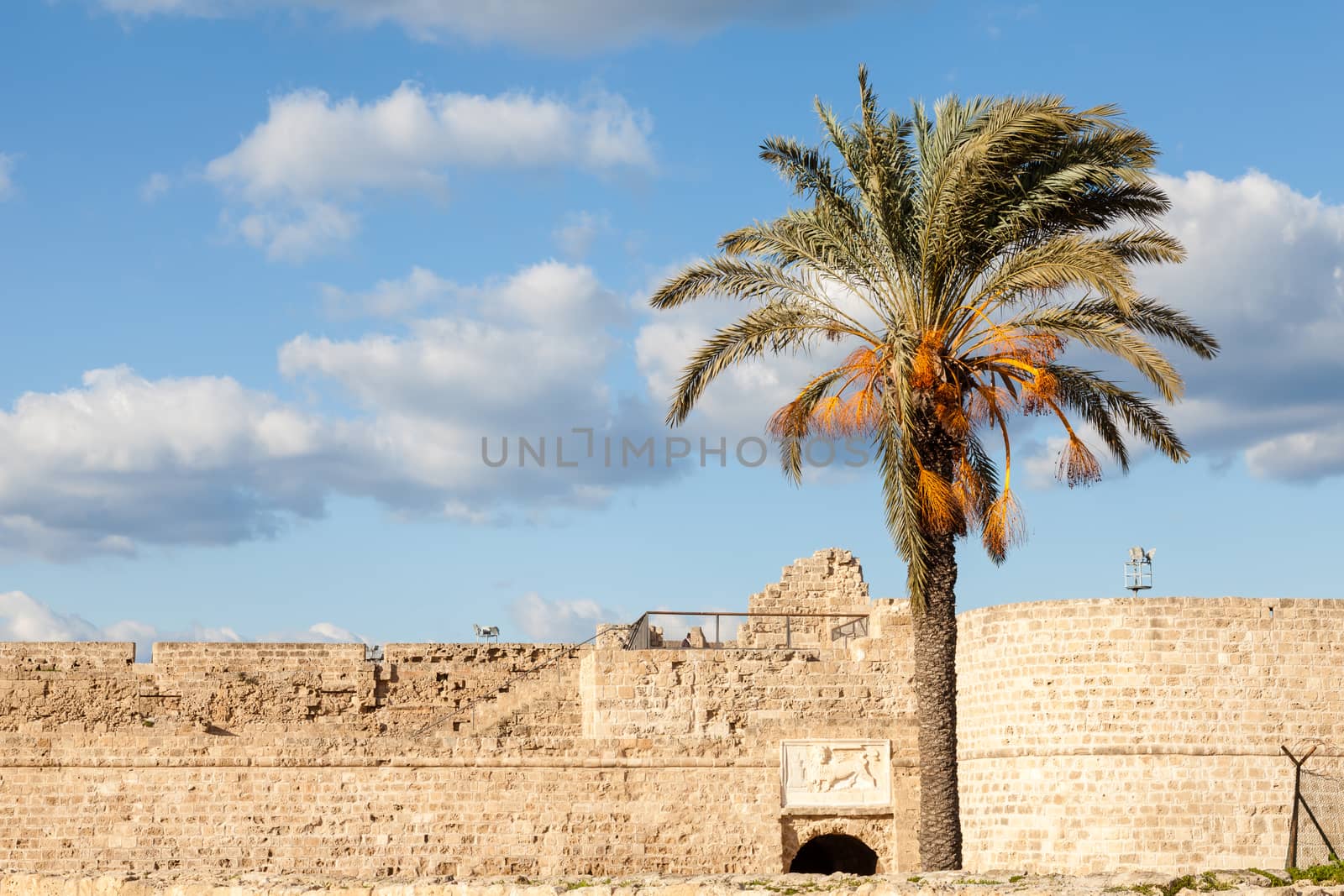 A palm tree is pictured in front of Othello Castle.  The castle is a 14th century castle in Famagusta in the Turkish Republic of Northern Cyprus.