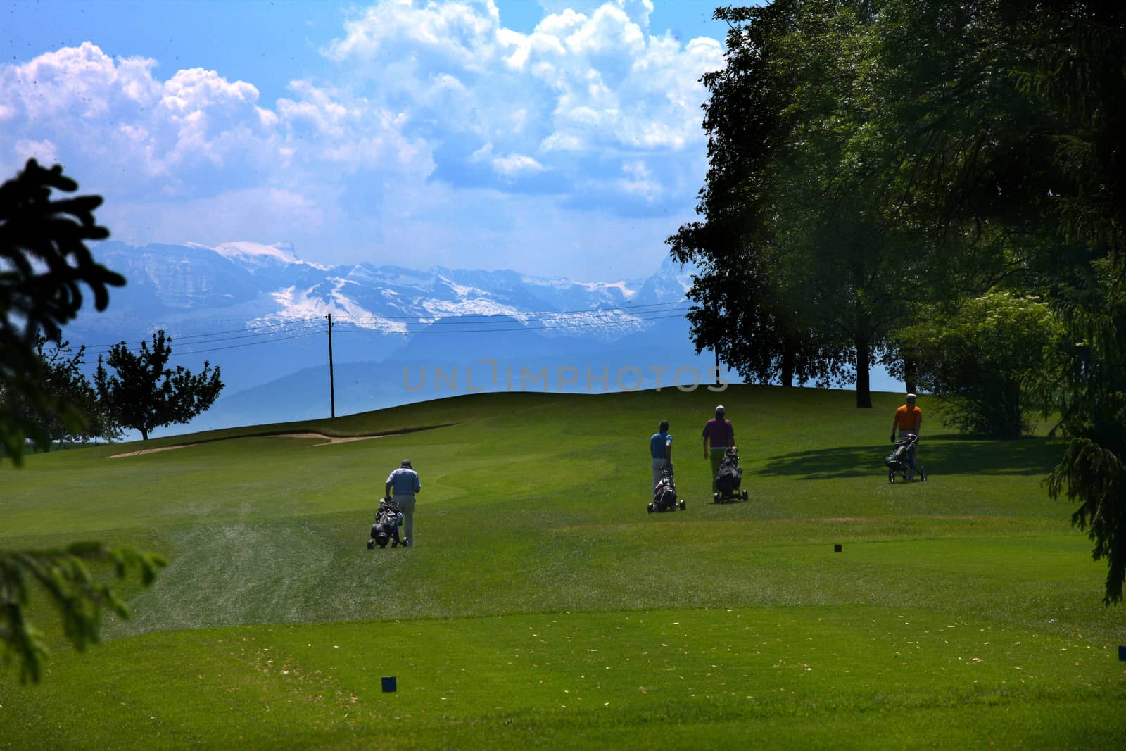 golf sport on a gold course in Switzerland with green grass and blue sky