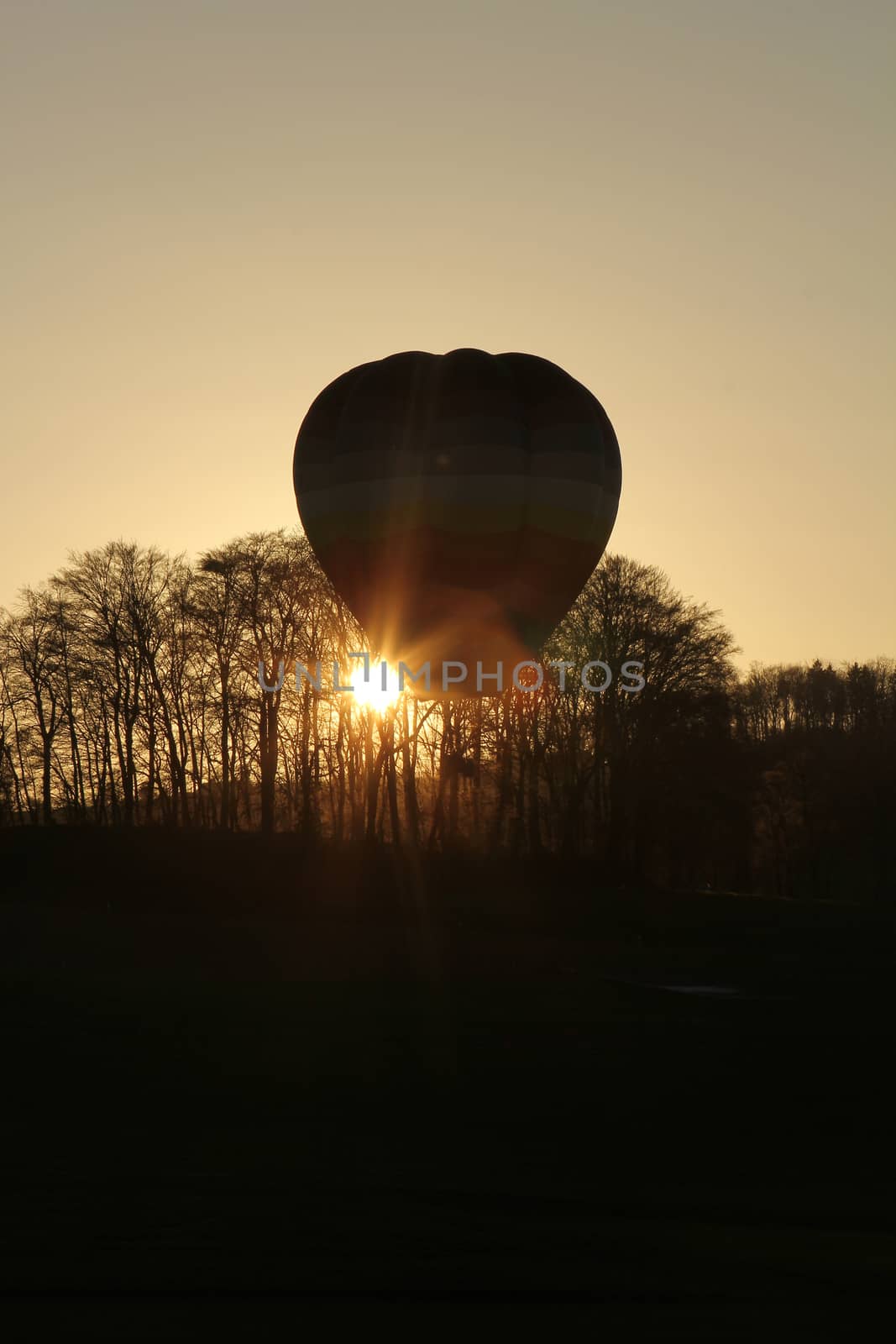 Hot air balloon landing during sunset with trees in background