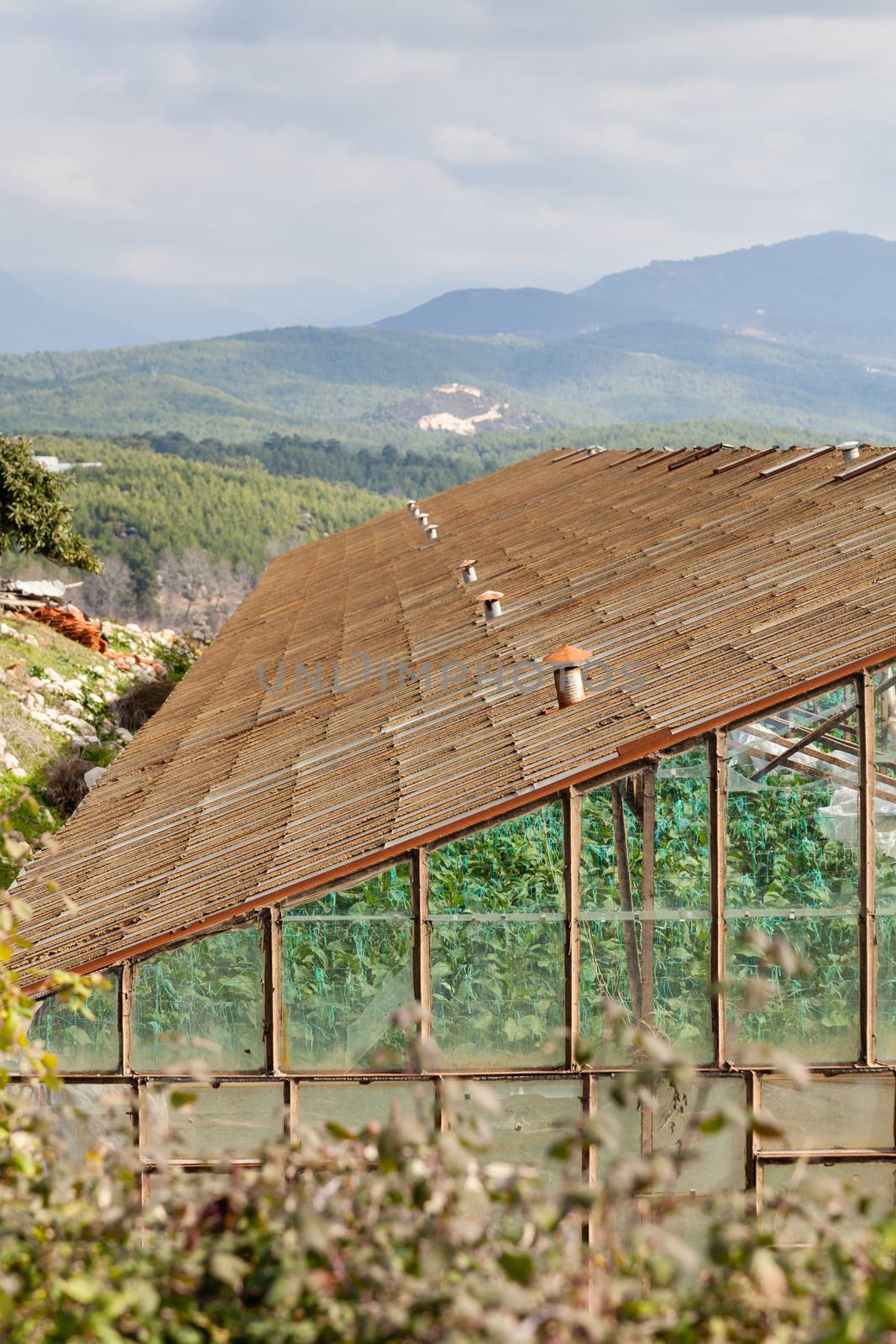 An industrial greenhouse on a farm in Turkler in the province of Alanya, southern Turkey.