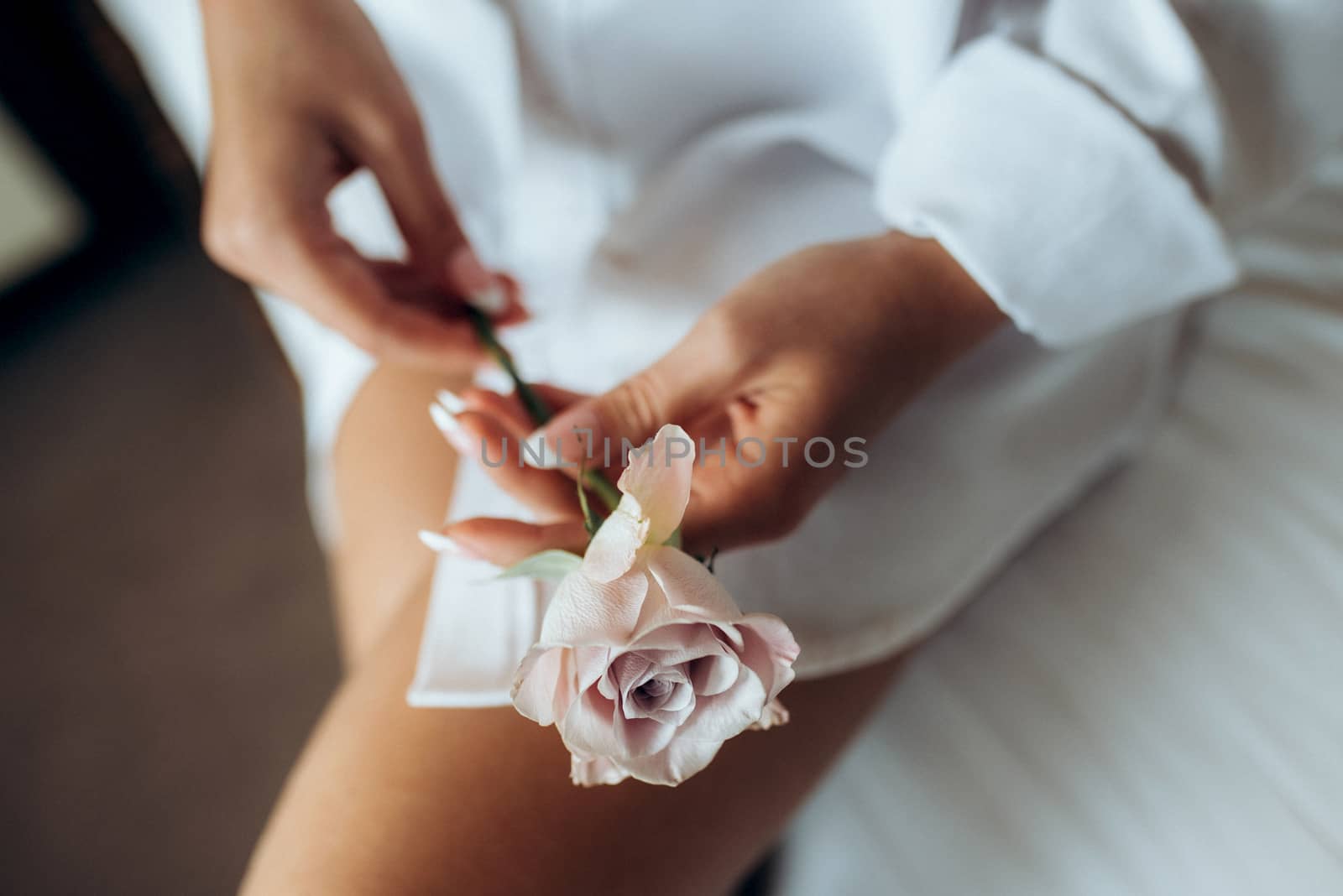 girl in a white shirt holds a rose in her hands