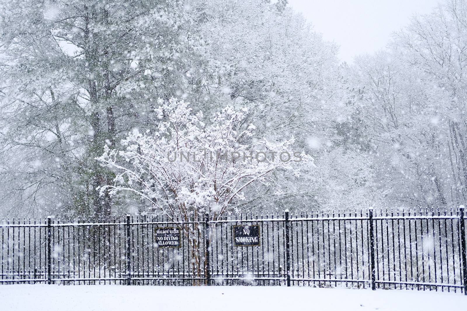 Signs showng Heavy Snow at Swmmng Pool