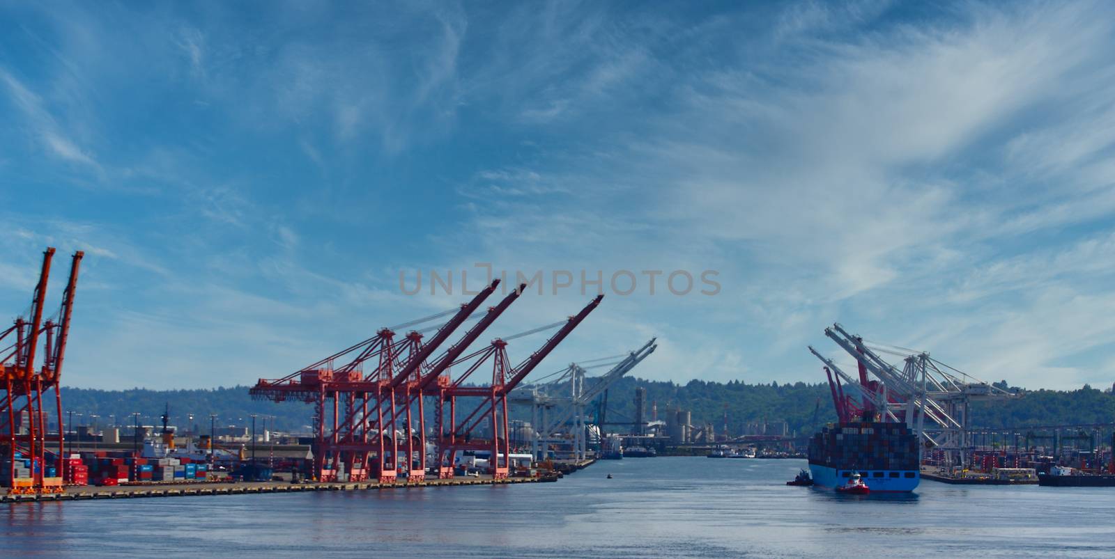 Industrial Shipping at Seattle Harbor by dbvirago