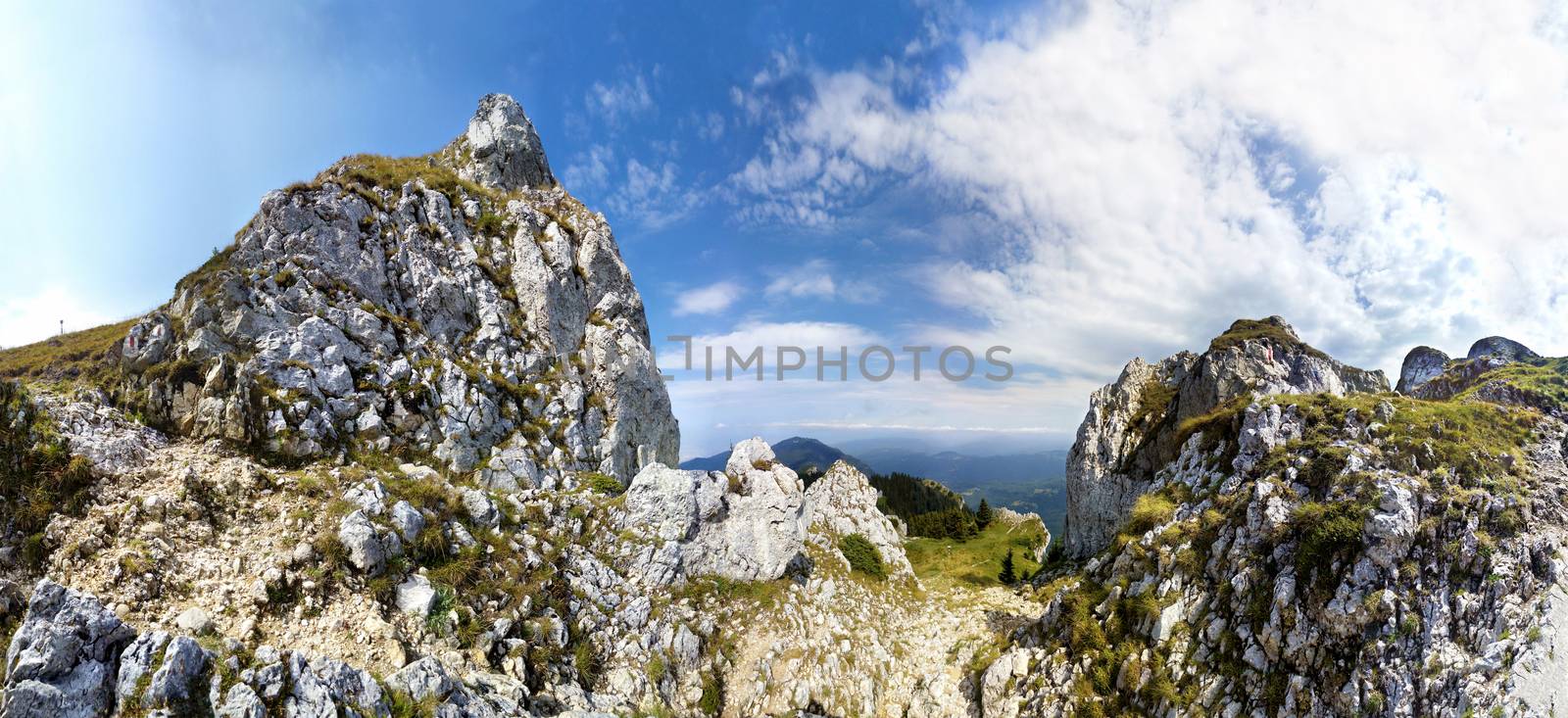 Panoramic view of Mount Piatra Mare peak at sunset on summer, part of Romanian Carpathian Range