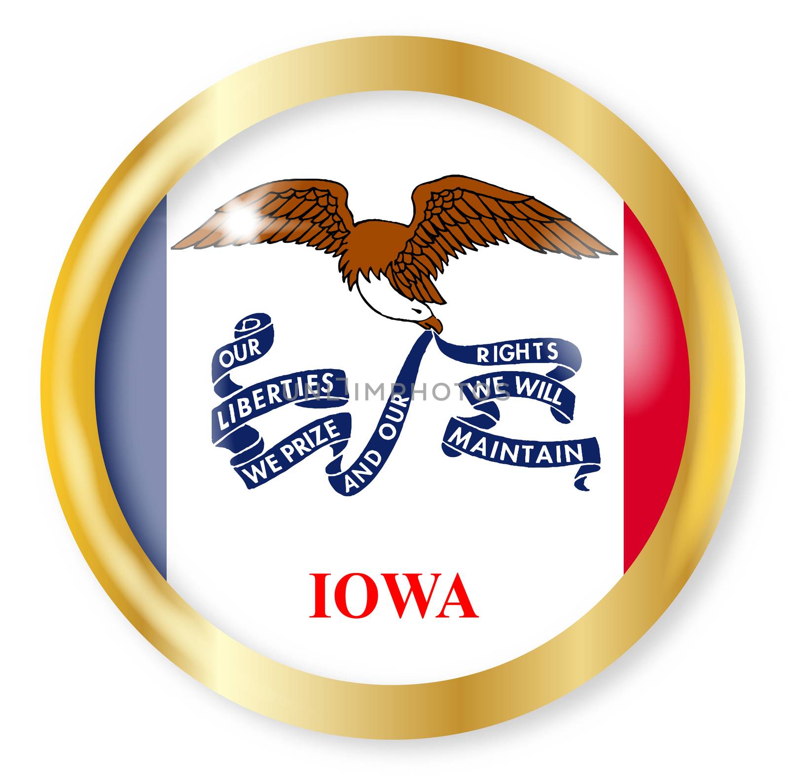 Iowa state flag button with a gold metal circular border over a white background