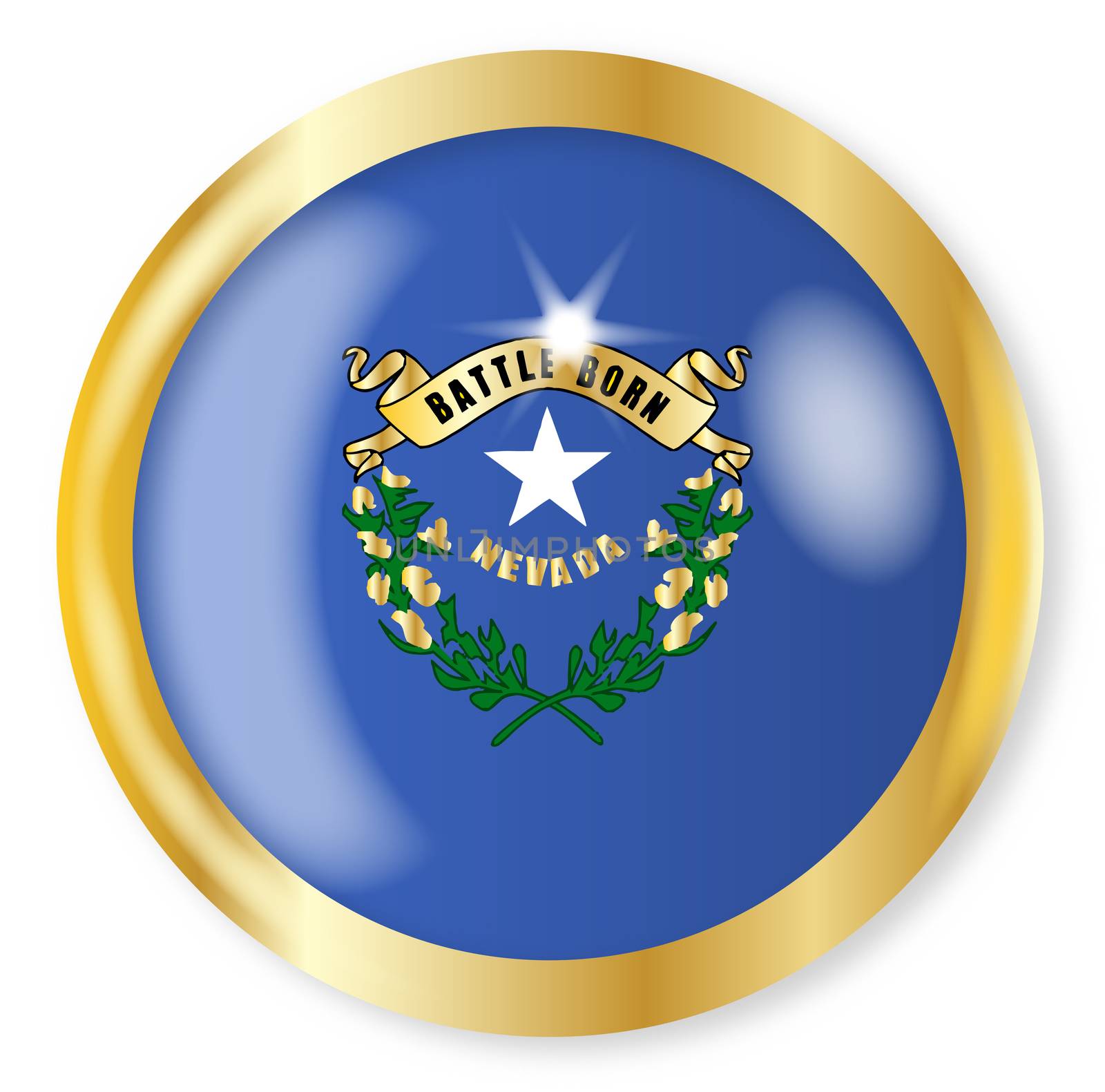 Nevada state flag button with a gold metal circular border over a white background