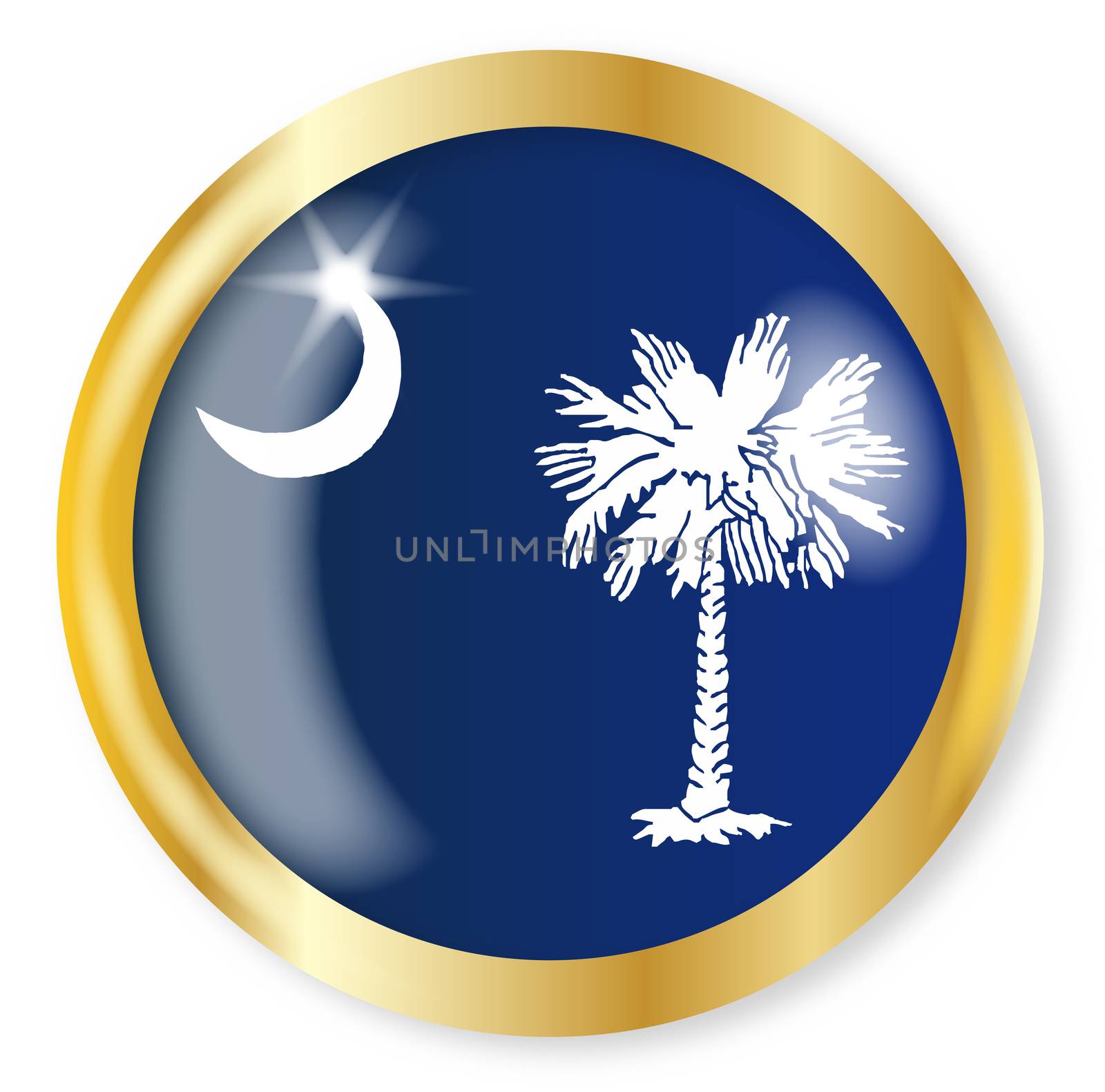South Carolina state flag button with a gold metal circular border over a white background