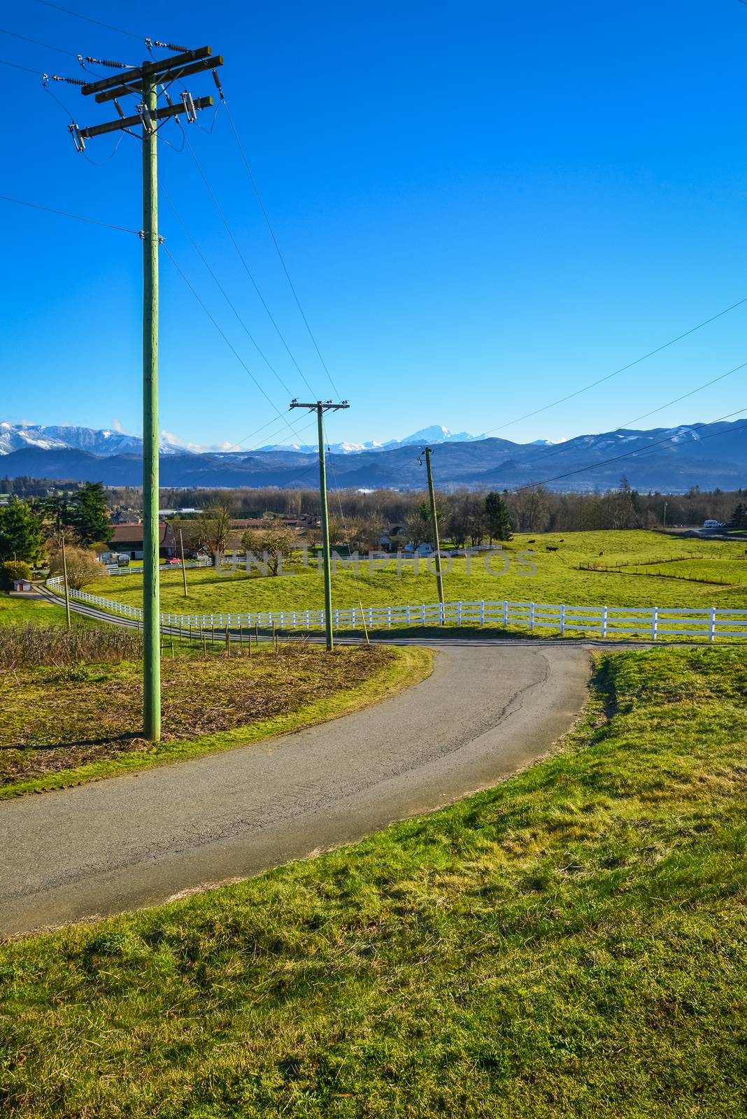 Country road leading to a cattle farm on winter season. Asphalt road to a valley in British Columbia. Rural road with power posts on the side and mountain view background