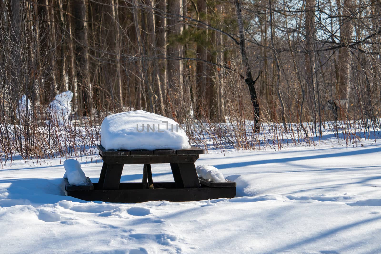 Wooden Picnic Table Covered in Snow by colintemple