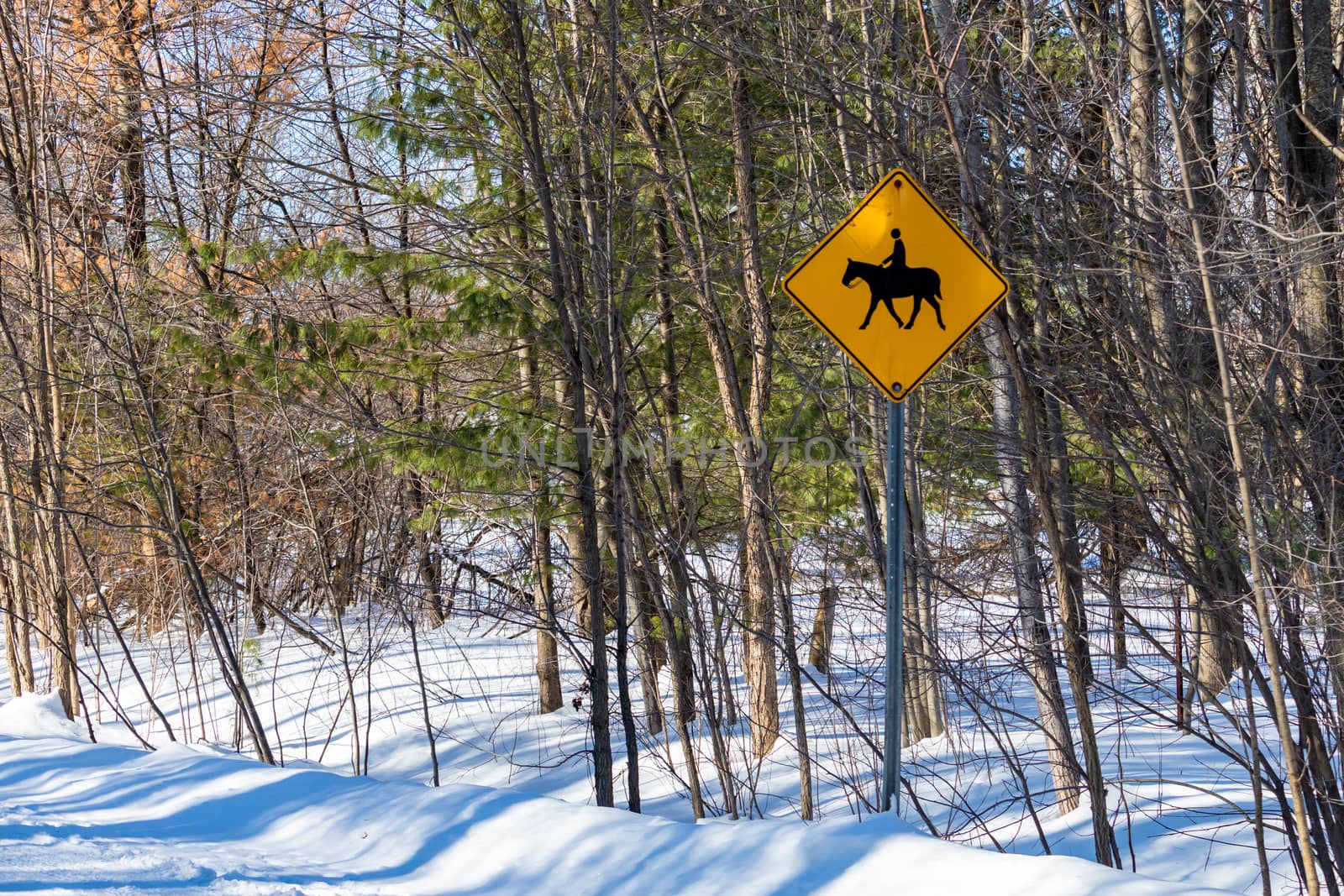 A yellow diamond sign has a pictogram of a person riding a horse, indicating a horseback riding crossing on a rural road. In the countryside during winter, the sign is surrounded by trees and snow.