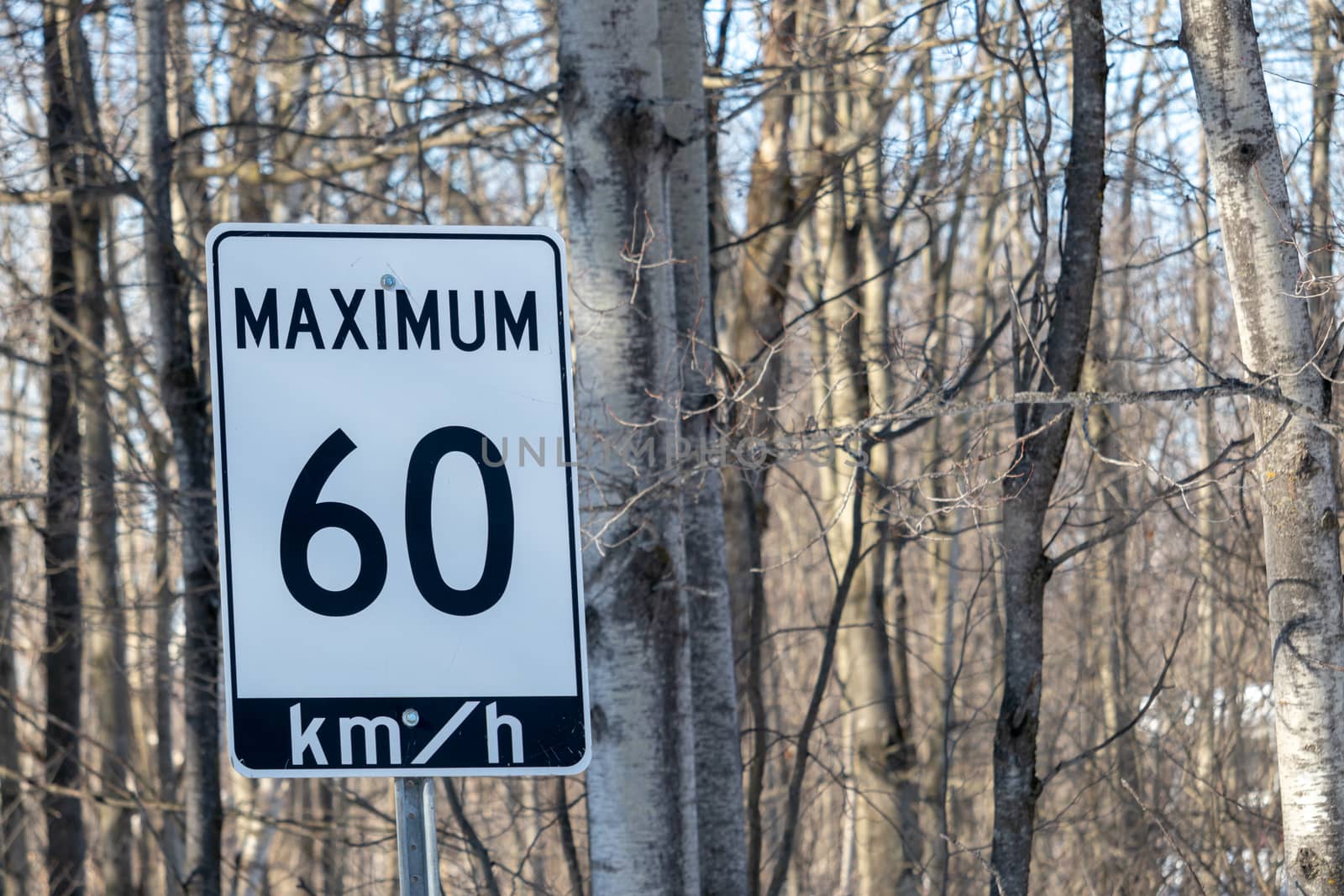 Speed limit sign: Maximum 60 km/h by colintemple