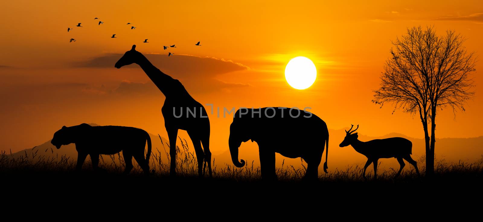 Large group of african safari animals. Wildlife conservation concept by sarayut_thaneerat