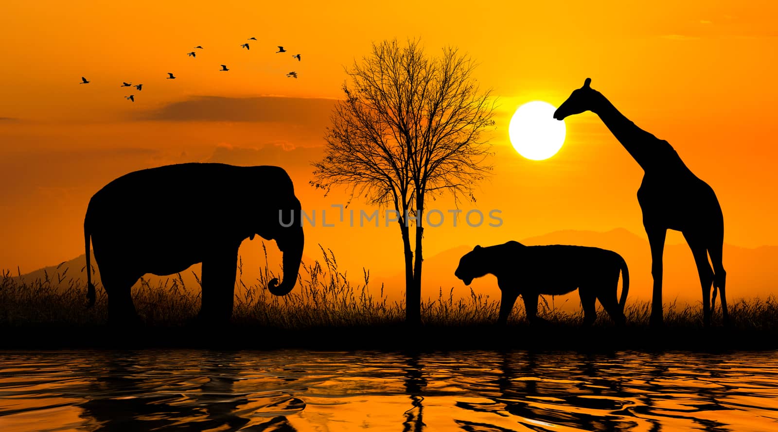 Large group of african safari animals. Wildlife conservation concept