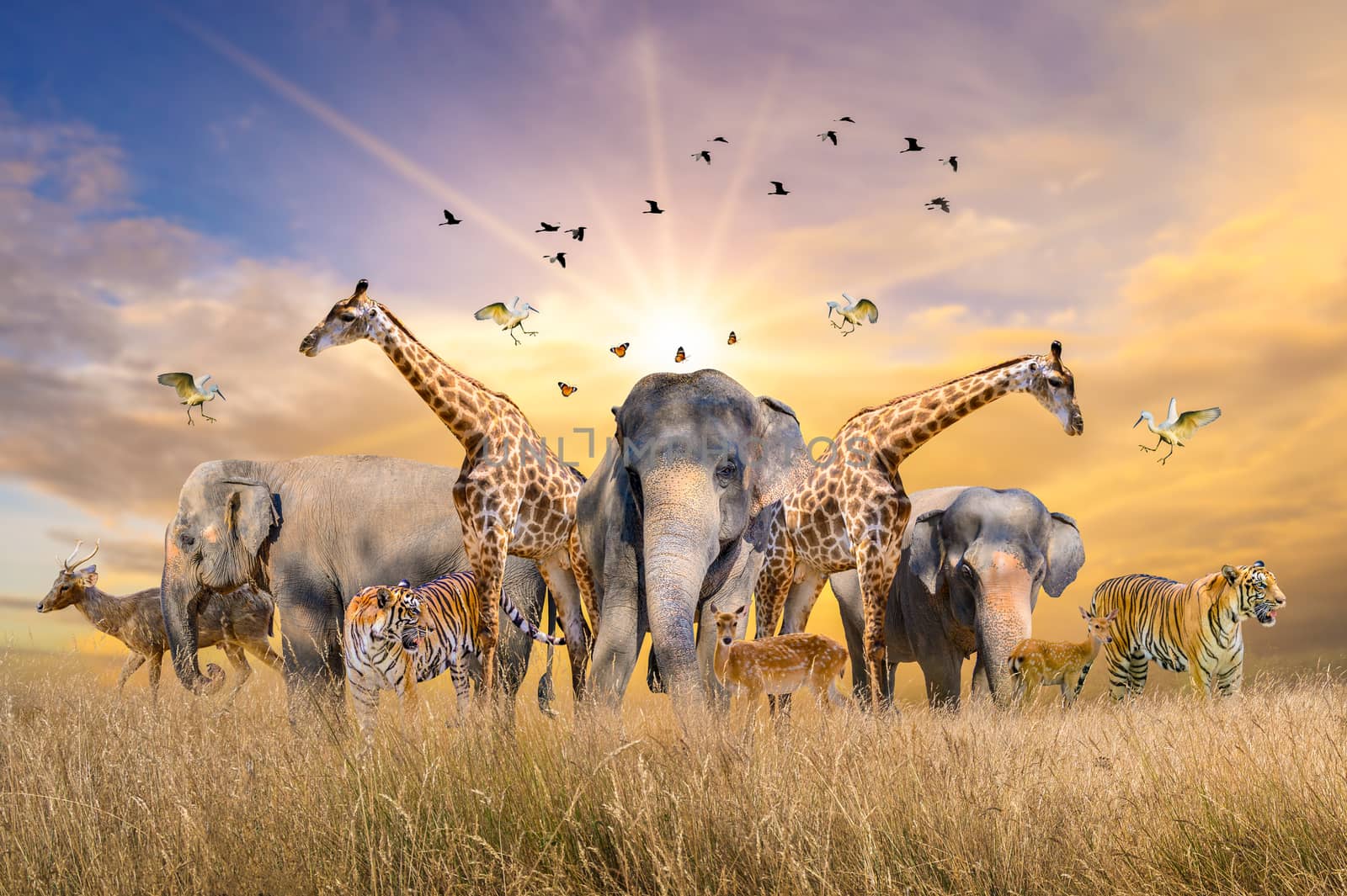 Large group of african safari animals. Wildlife conservation concept by sarayut_thaneerat