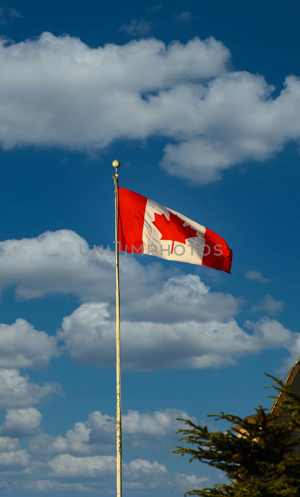 Canadian Flag on Blue Sky by dbvirago