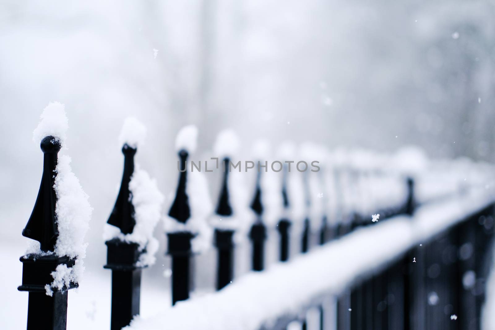 Snow on Spikes of a Wrought Iron Fence