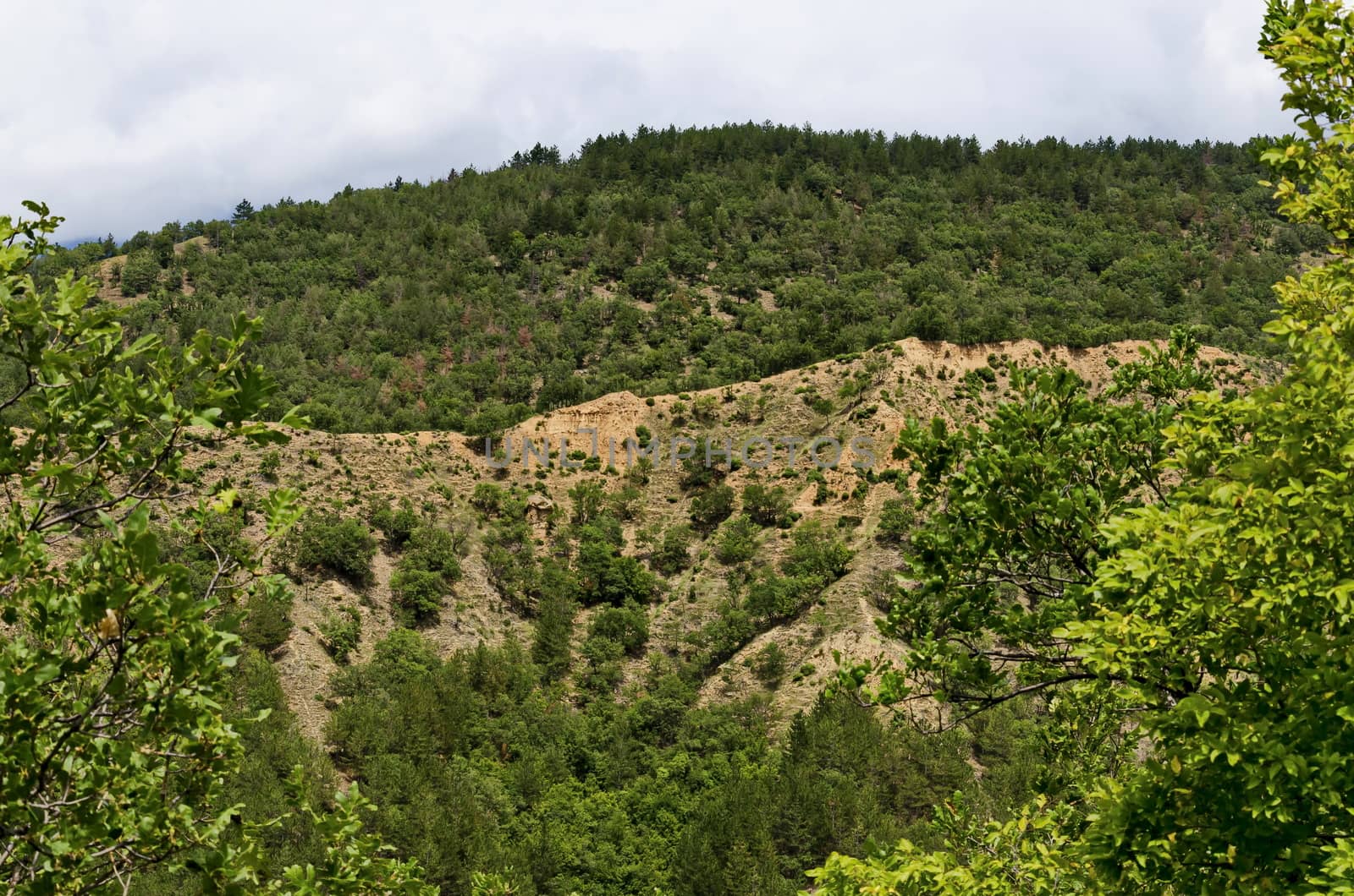 A view of the neighboring slope with new Stops pyramids of yellow rock formations, west share of Rila mountain, Kyustendil region, Bulgaria, Europe