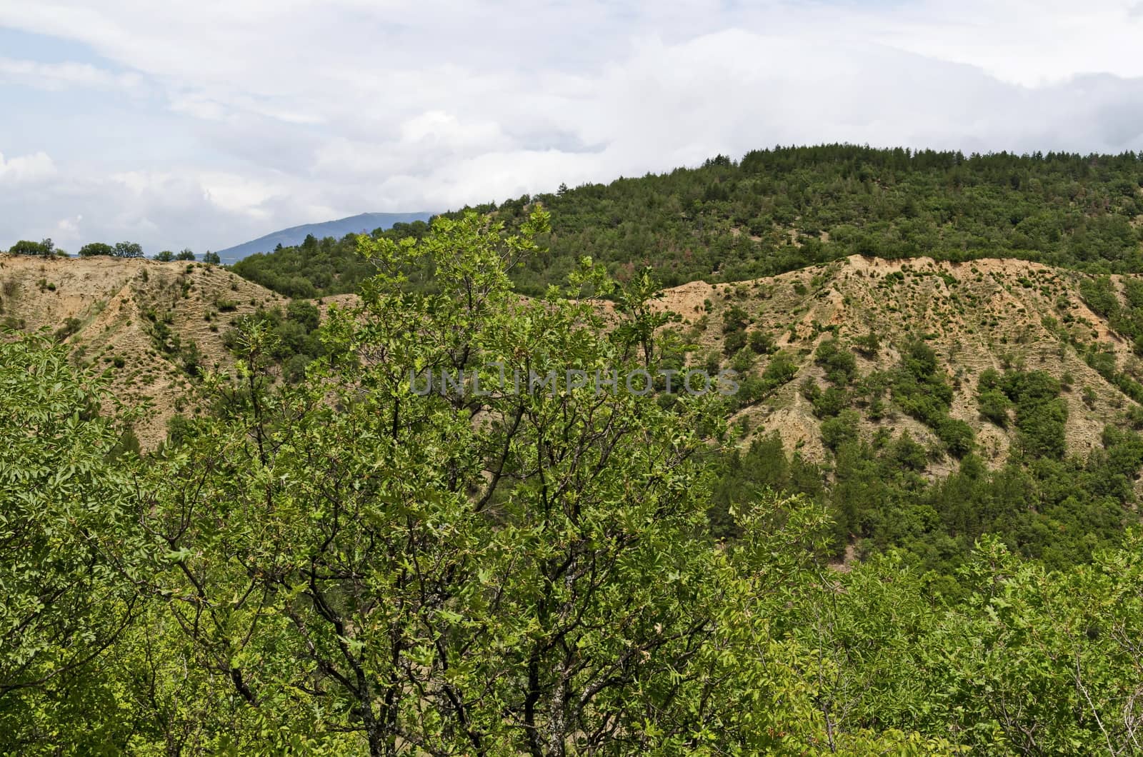 A view of the neighboring slope with new Stops pyramids of yellow rock formations, west share of Rila mountain, Kyustendil region, Bulgaria, Europe