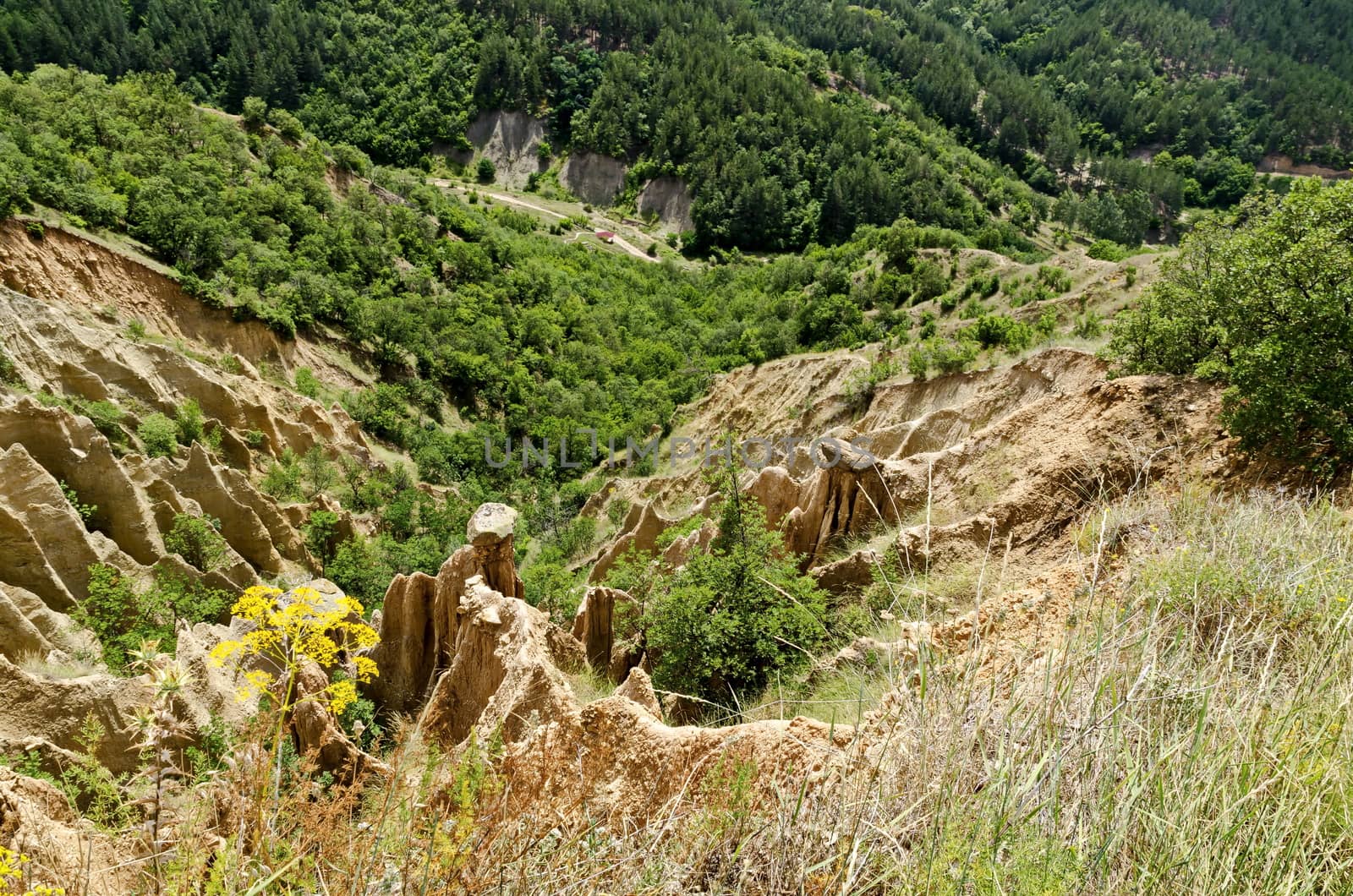 Fragment of the famous Stob’s Pyramids with unusual shape red and yellow rock formations, green bushes and trees around, west share of Rila mountain, Kyustendil region, Bulgaria, Europe