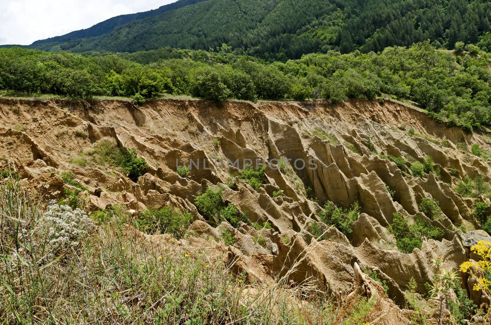 Fragment of the famous Stob’s Pyramids with unusual shape red and yellow rock formations, green bushes and trees around, west share of Rila mountain, Kyustendil region, Bulgaria, Europe