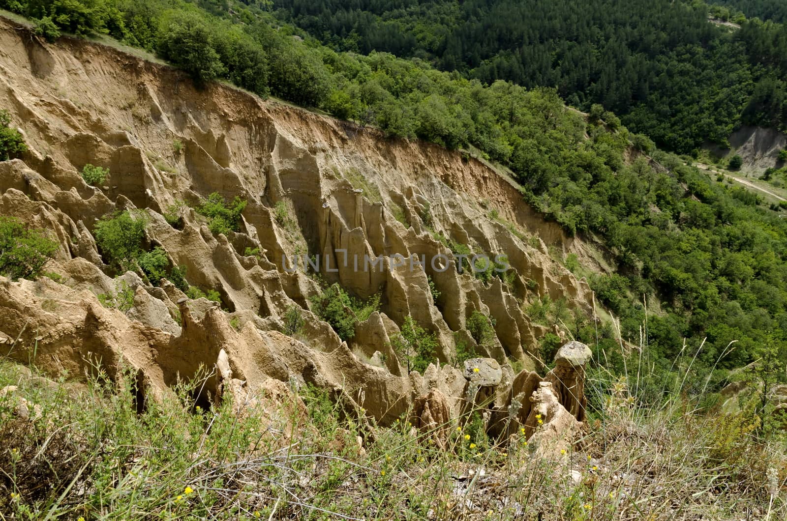 Fragment of the famous Stob’s Pyramids with unusual shape red and yellow rock formations, green bushes and trees around, west share of Rila mountain, Kyustendil region, Bulgaria, Europe