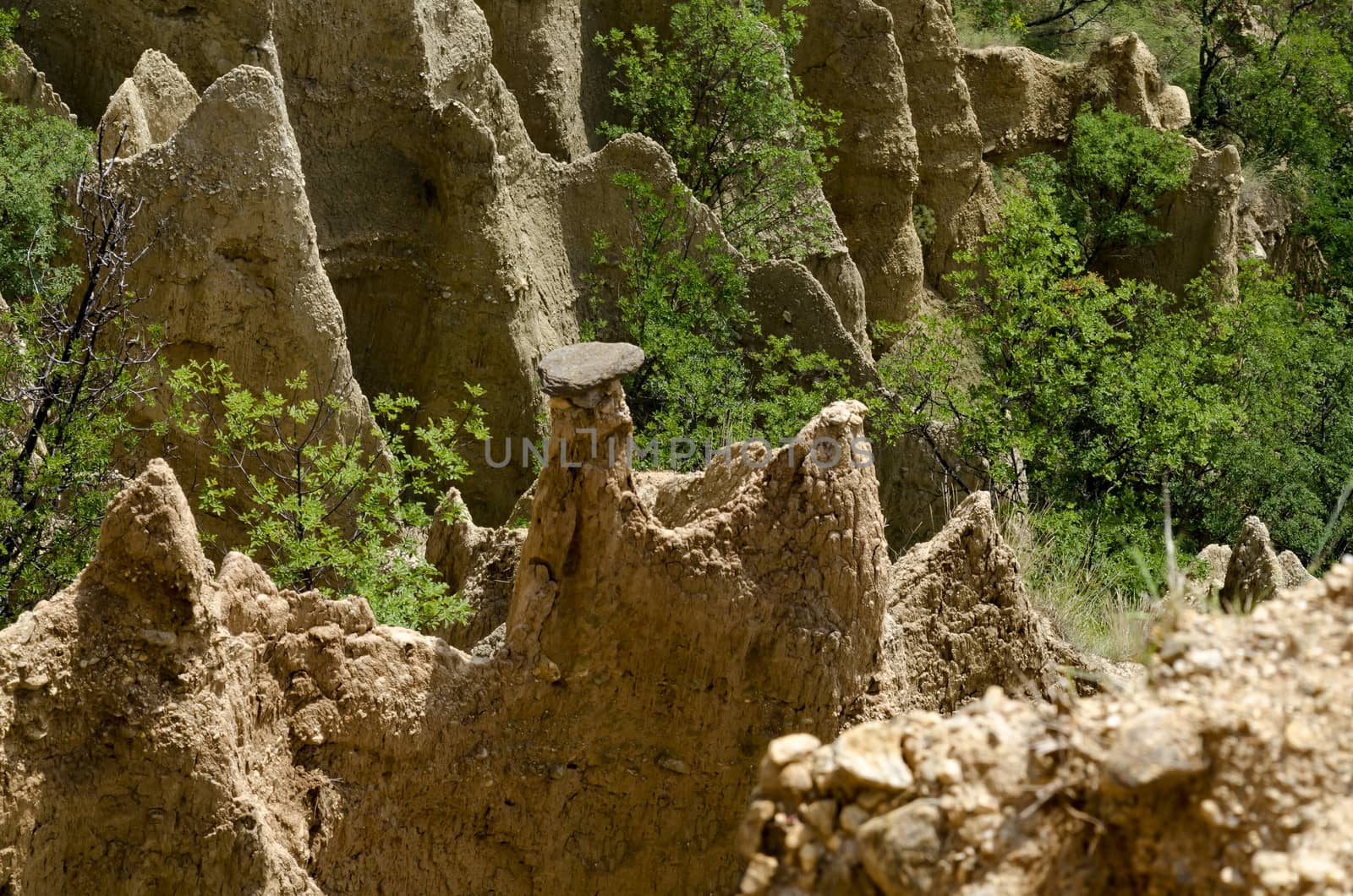 At close of the famous Stob’s Pyramids with unusual shape red and yellow rock formations, green bushes and trees around, west share of Rila mountain, Kyustendil region, Bulgaria, Europe