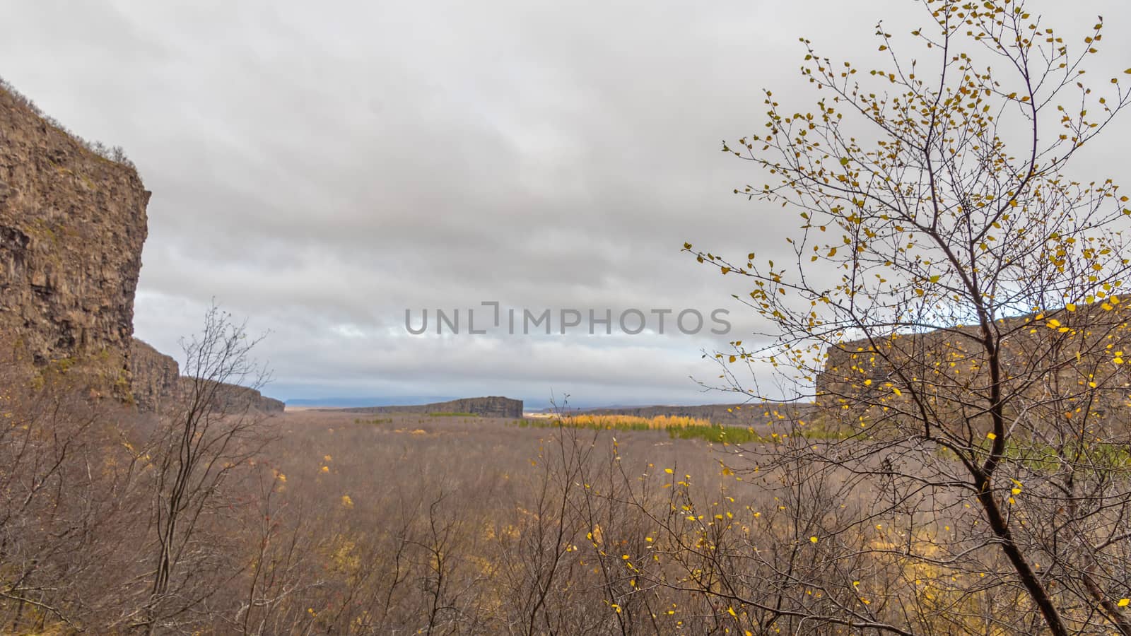 Asbyrgi Canyon of Northern Iceland during autumn forrest between cliffs colorful leaves