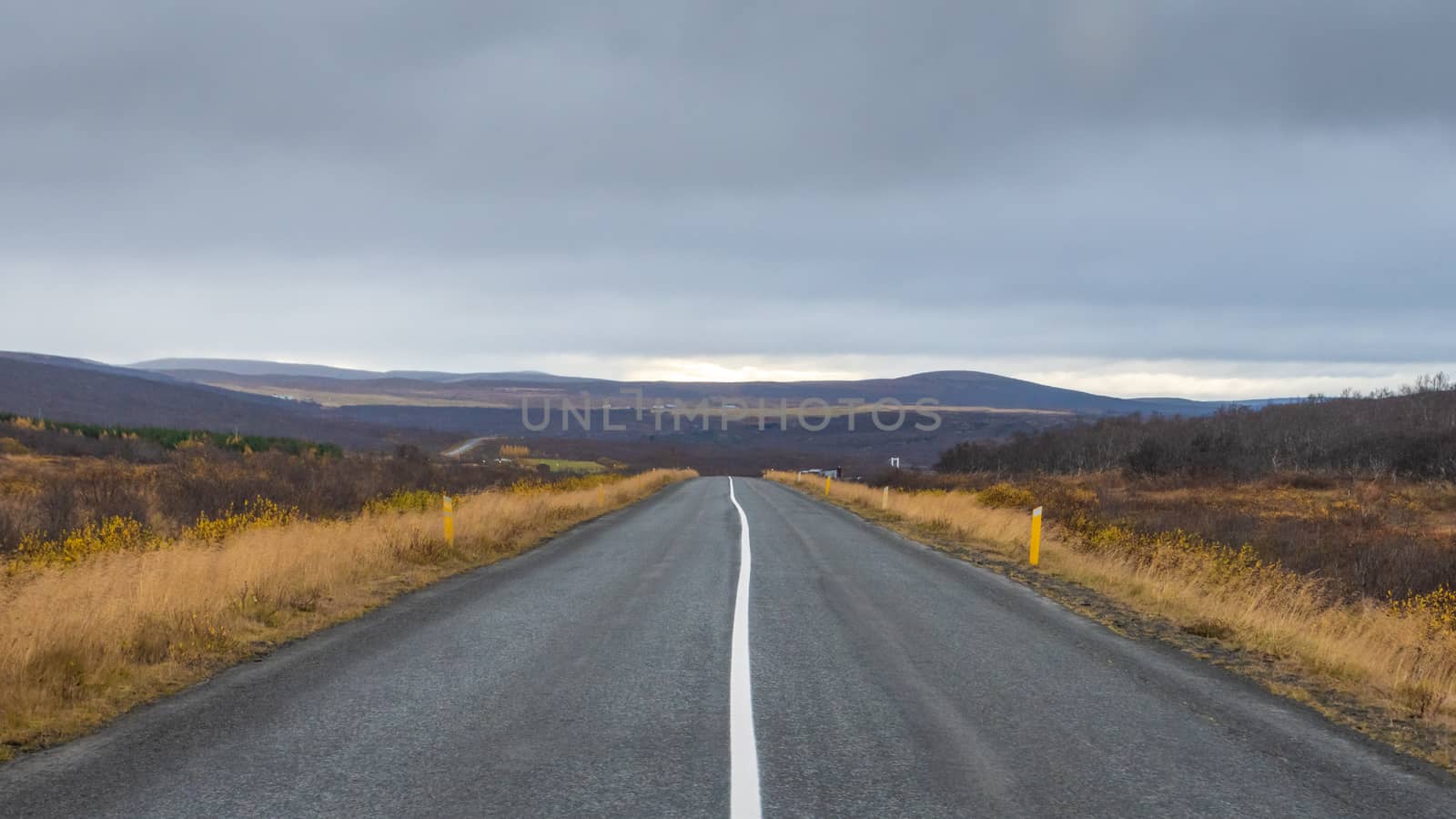 Empty road in Iceland with continues middle line during grey autumn day by MXW_Stock