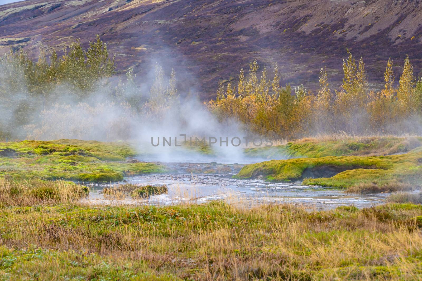 Geysir Golden Circle in Iceland geothermal hot springs muddy hot landscape by MXW_Stock