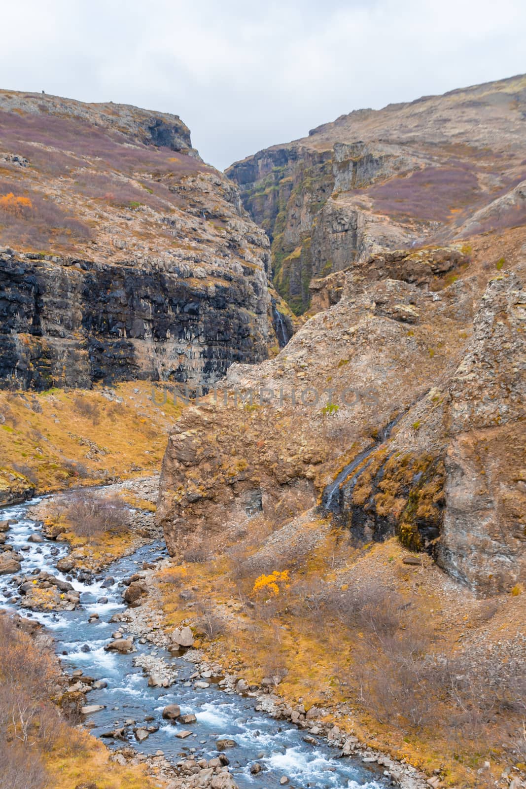 Glymur waterfall in Iceland gorge behind fall cutting through autumn landscape by MXW_Stock