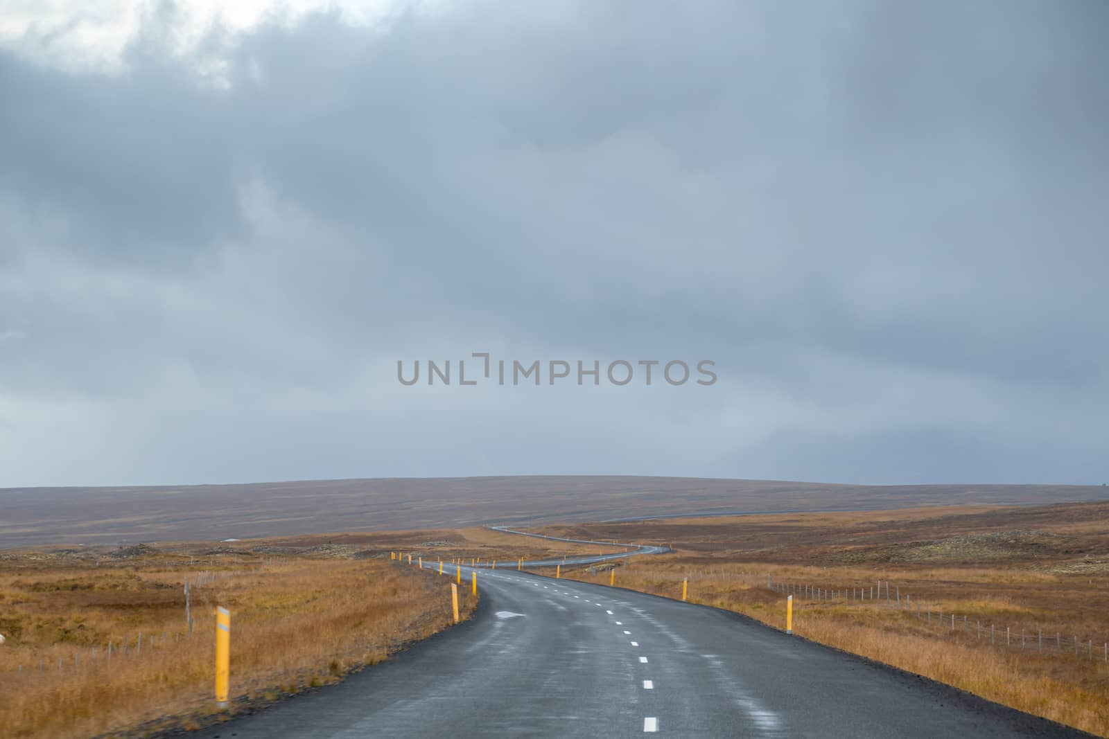 Highlands of Iceland empty road curving through sparse vegetation by MXW_Stock